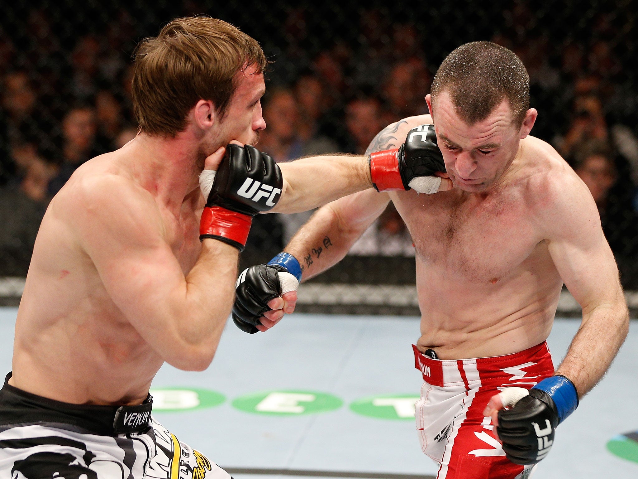 Brad Pickett punches Neil Seery