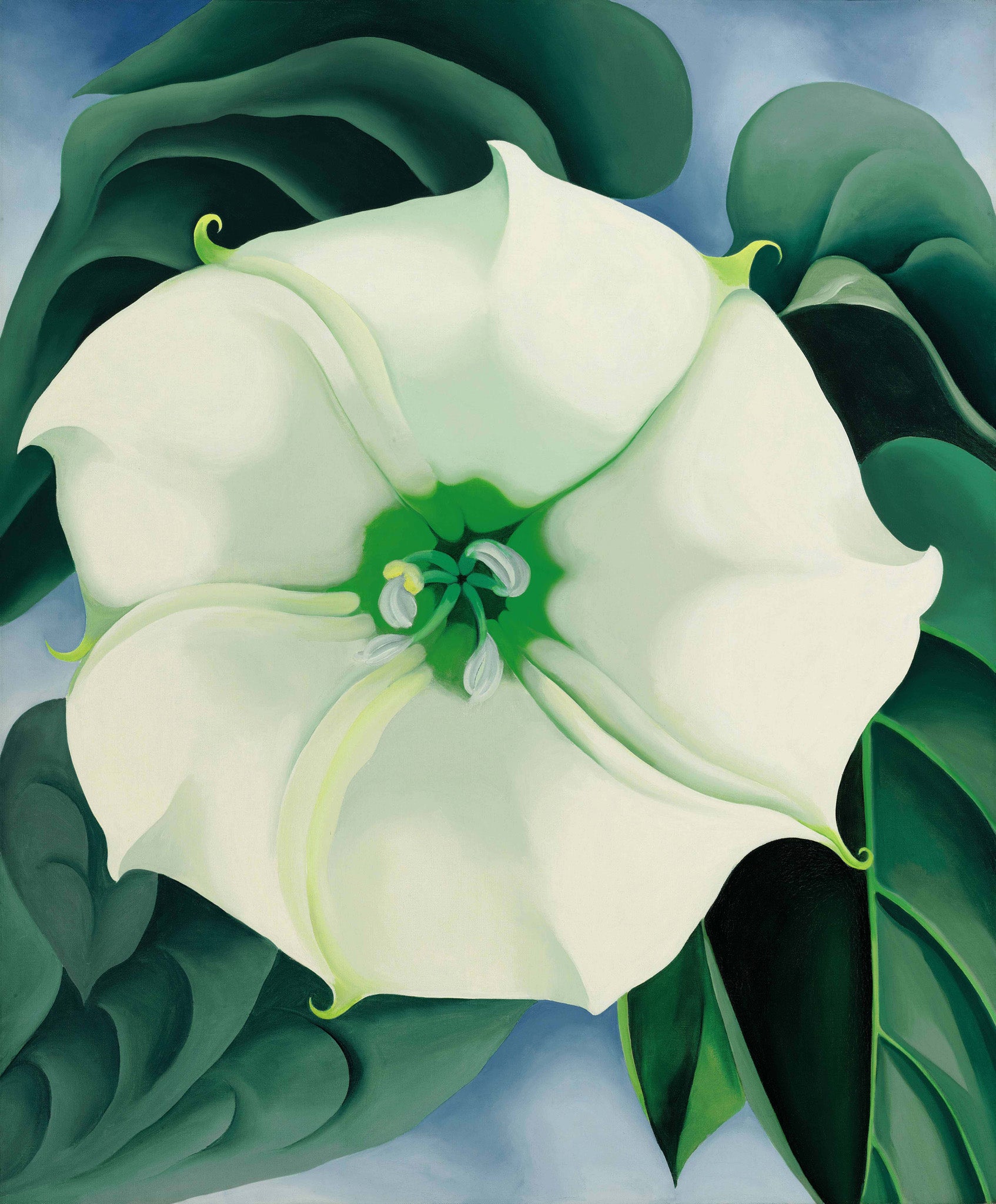 “Jimson Weed/White Flower No 1” by Georgia O'Keeffe