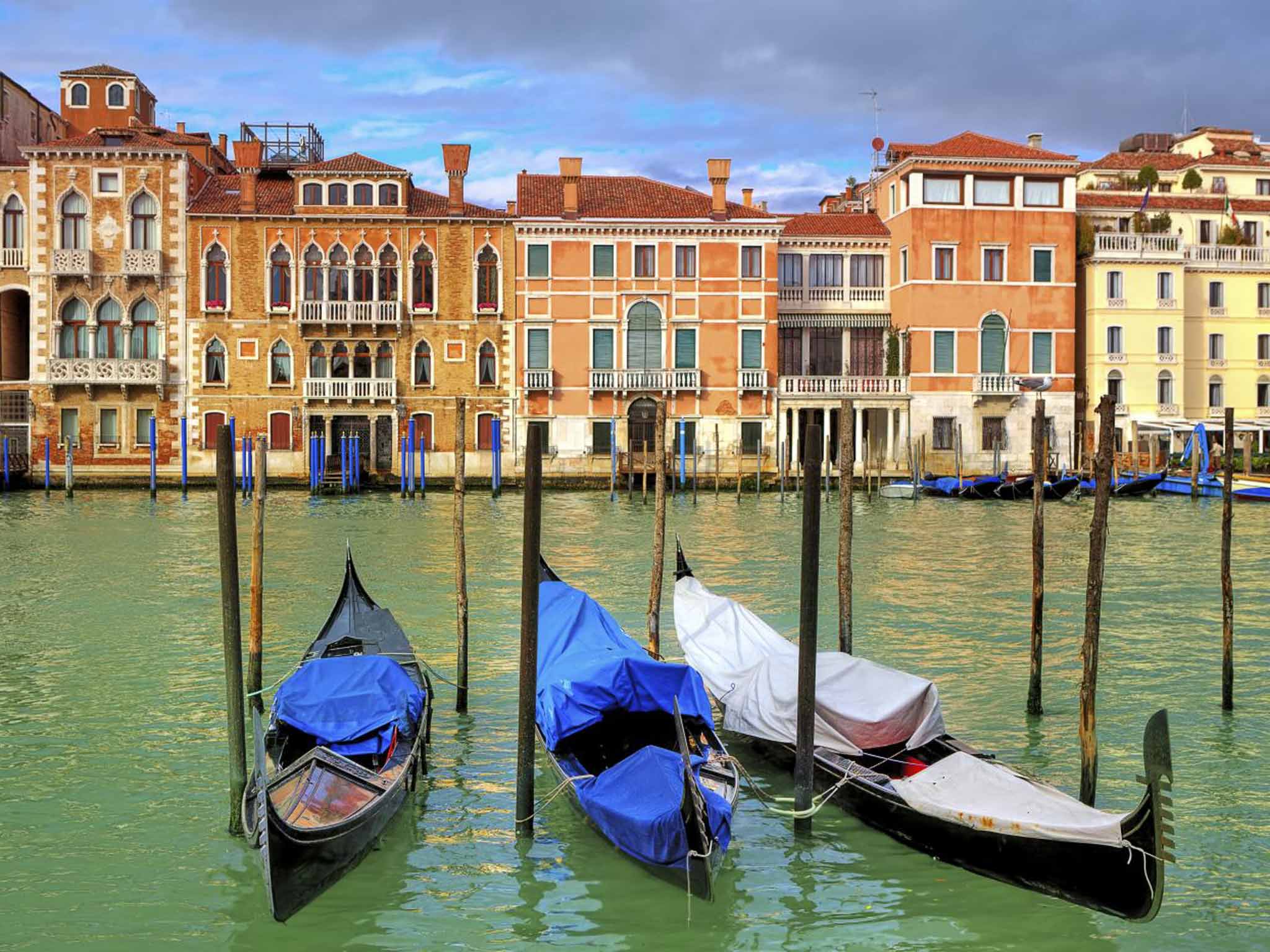 Alimentary canal: you can eat badly in Venice