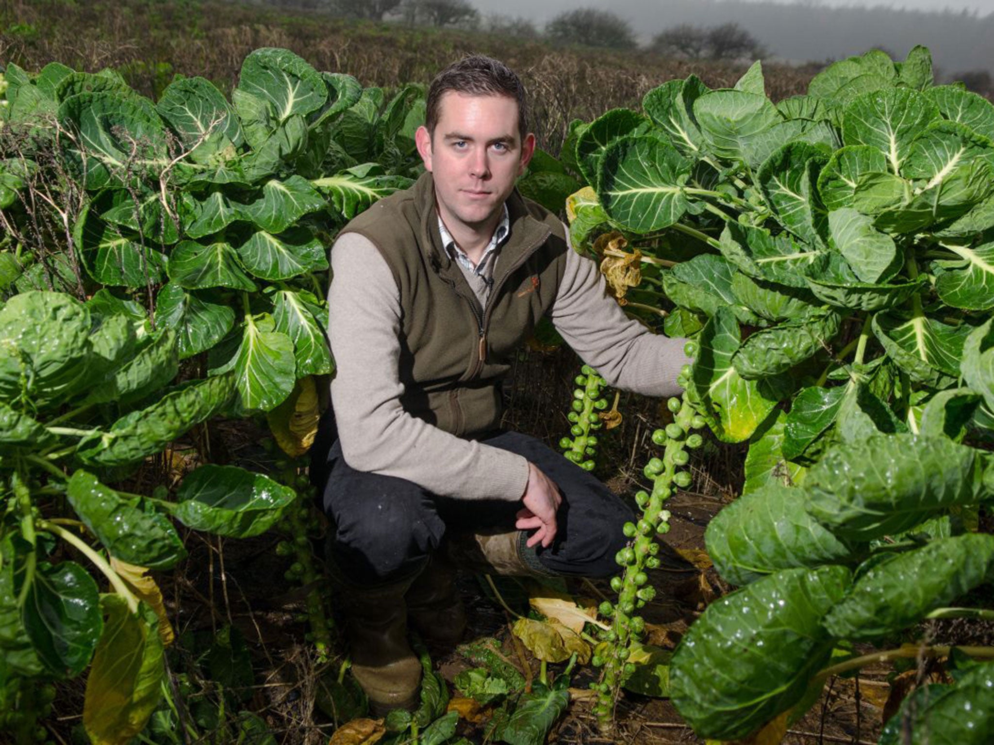 Joe Rolfe, the manager at the organic farm in Norfolk