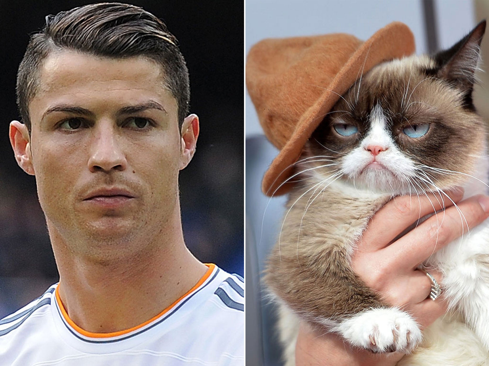 Cristiano Ronaldo; Grumpy cat