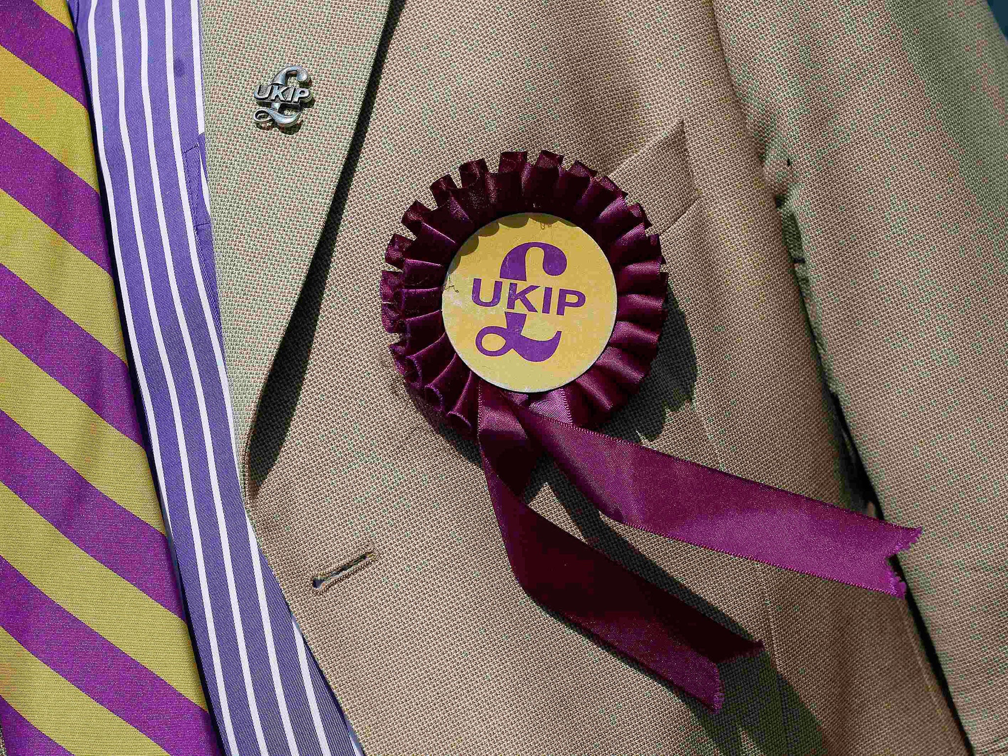 A Ukip rosette