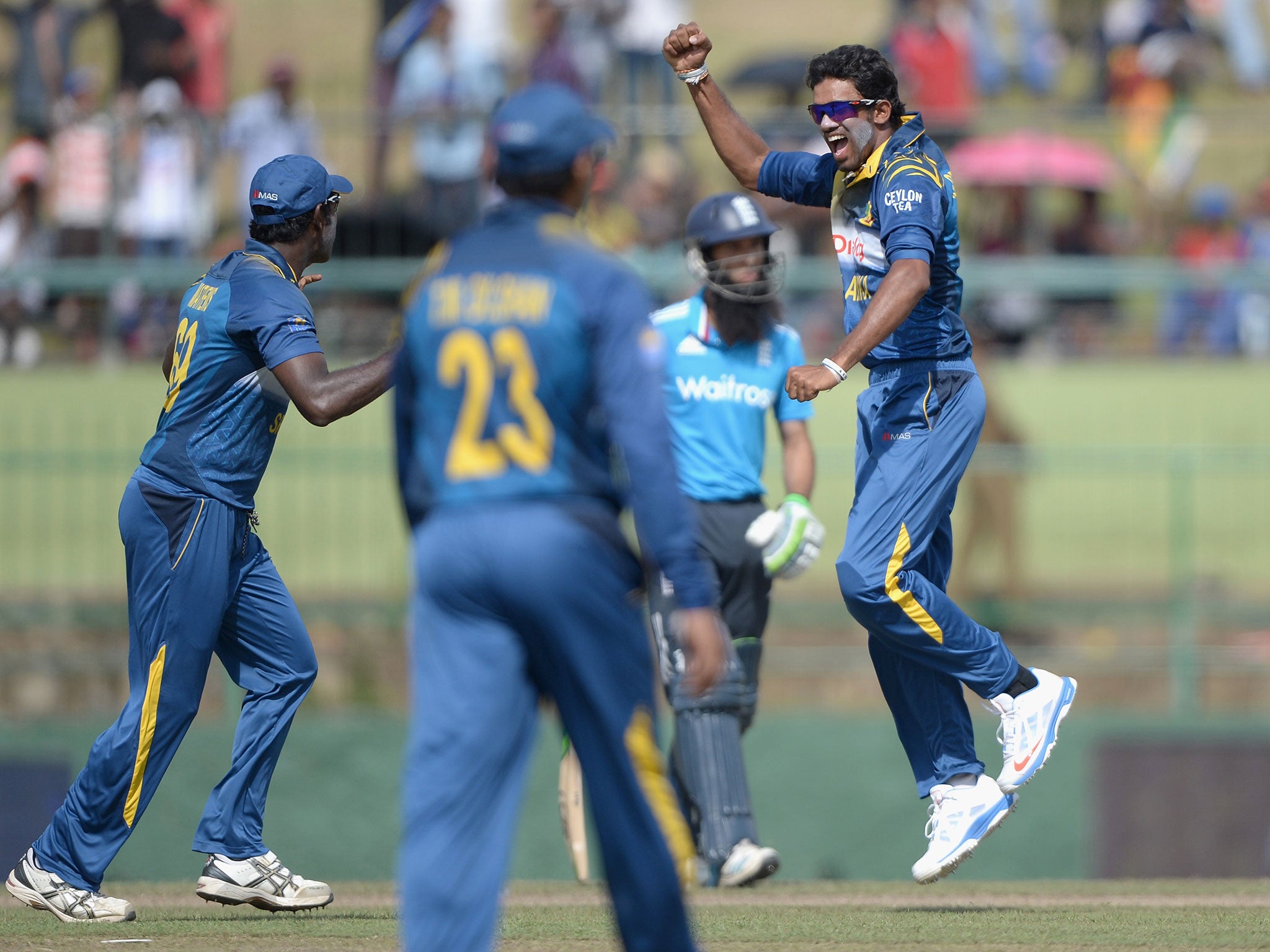 Sachithra Senanayke celebrates the wicket of Alastair Cook