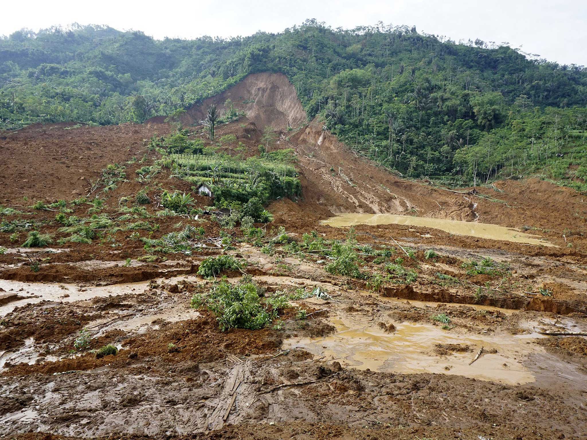 A house can just been seen peeping out from the mud