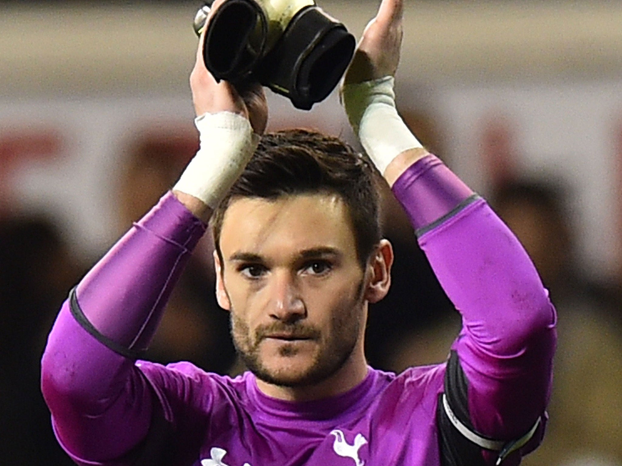 Tottenham goalkeeper Hugo Lloris