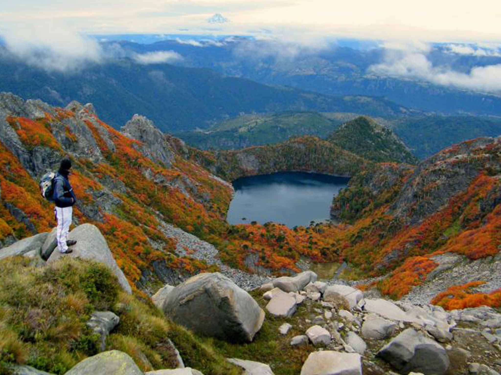 The Araucania landscape