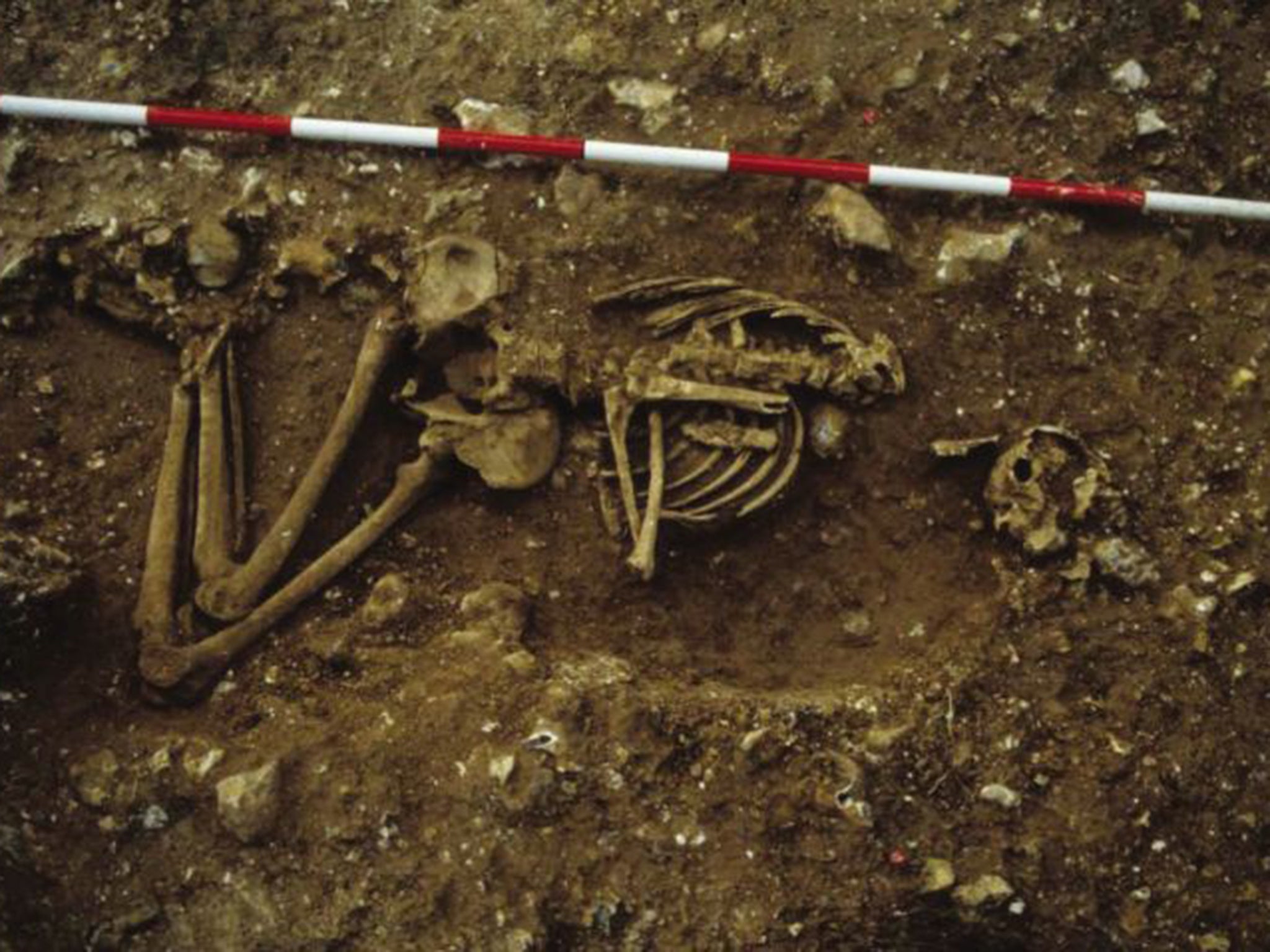 The skeleton was found on farmland in the hamlet of Racton, near Chichester in West Sussex, in 1989