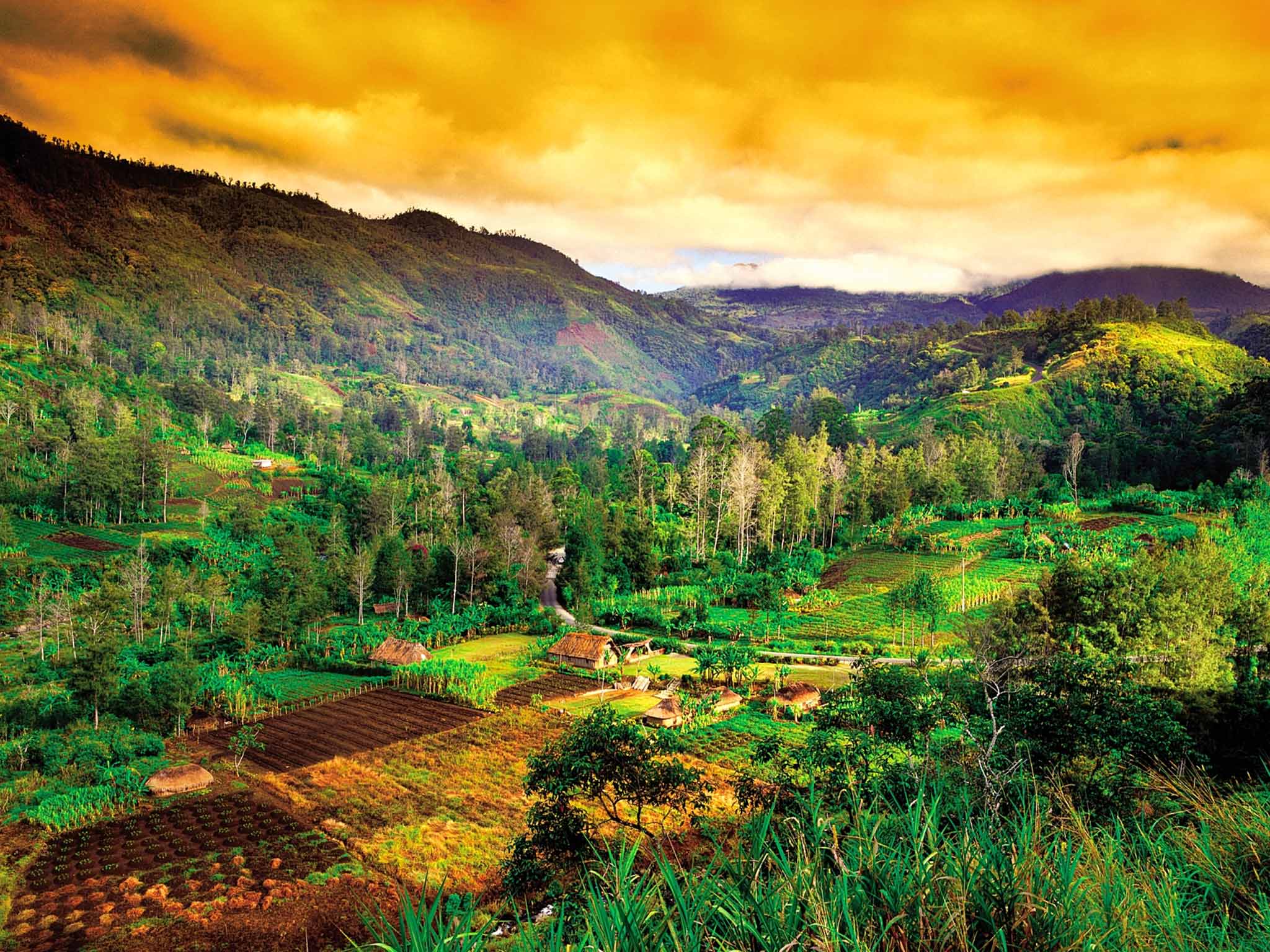 The landscape near Mount Hagen