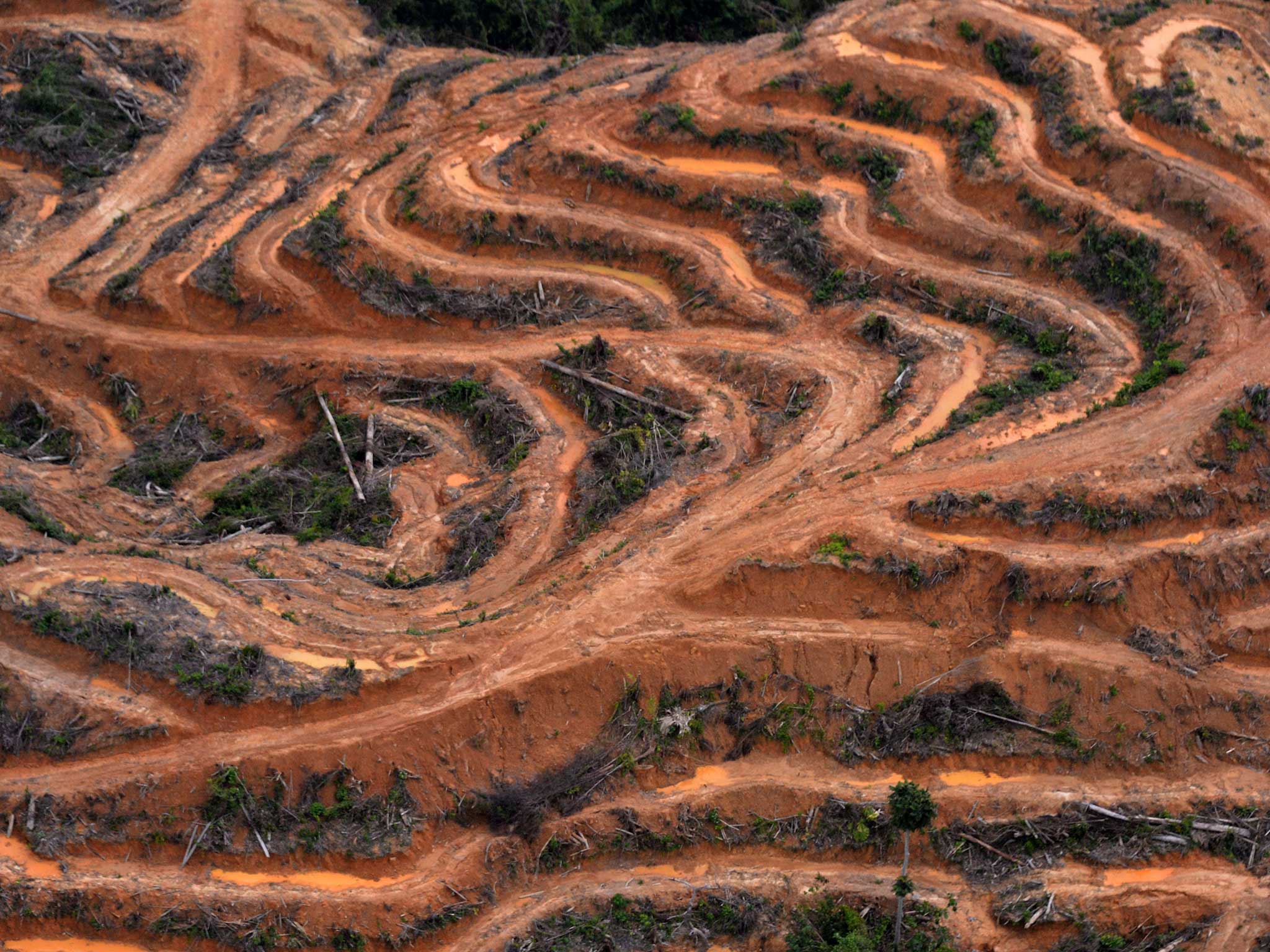 Could flooding in this country be linked to deforestation?