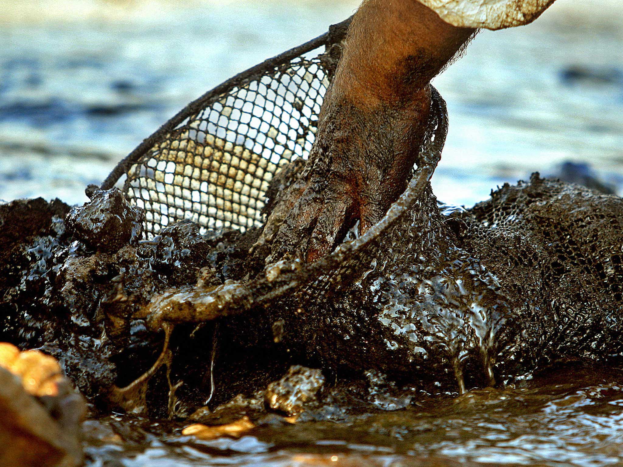 A Lebanese man attempts to clear the oil in 2006