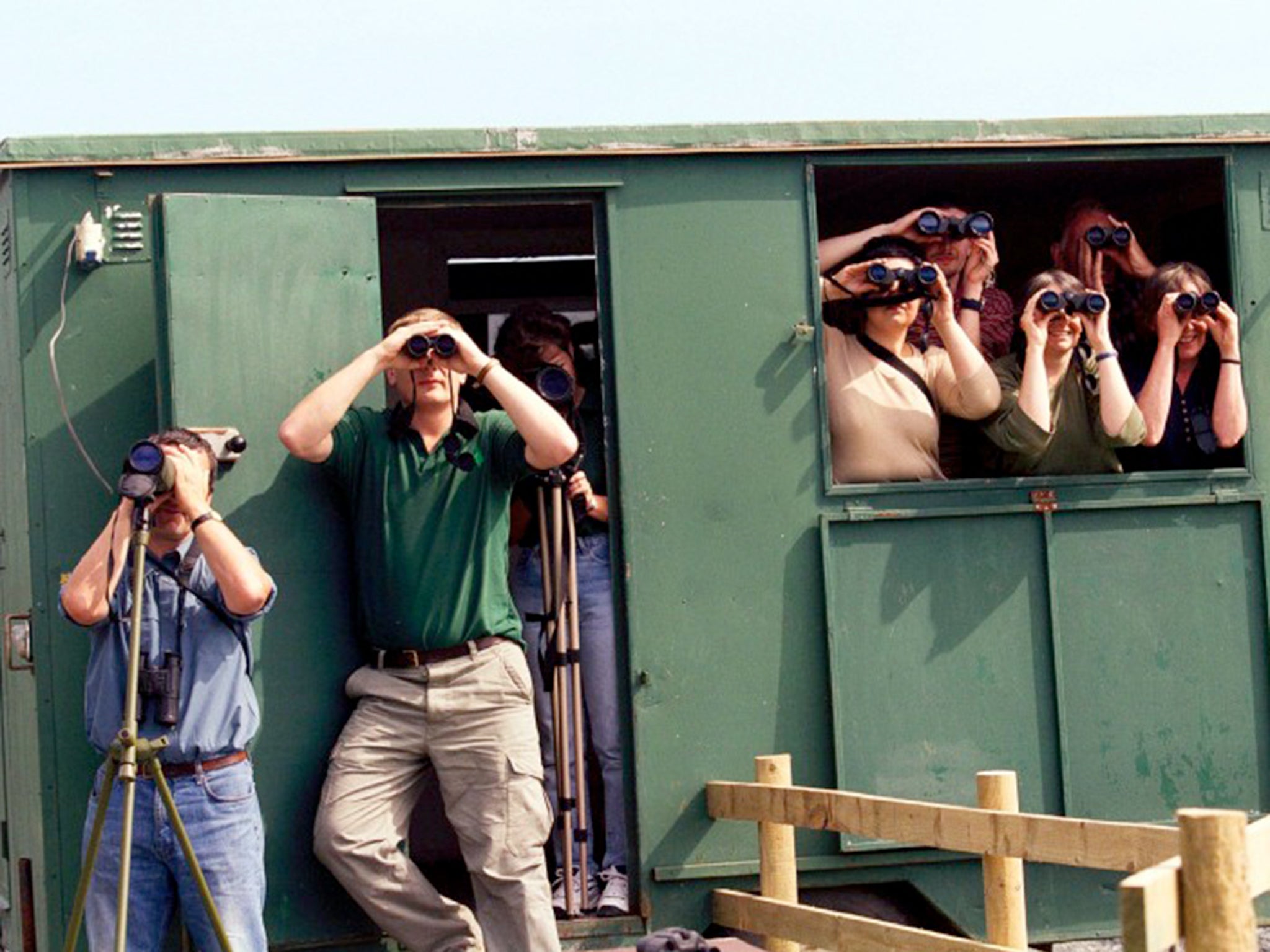 Twitchers see things differently, depending on their gender