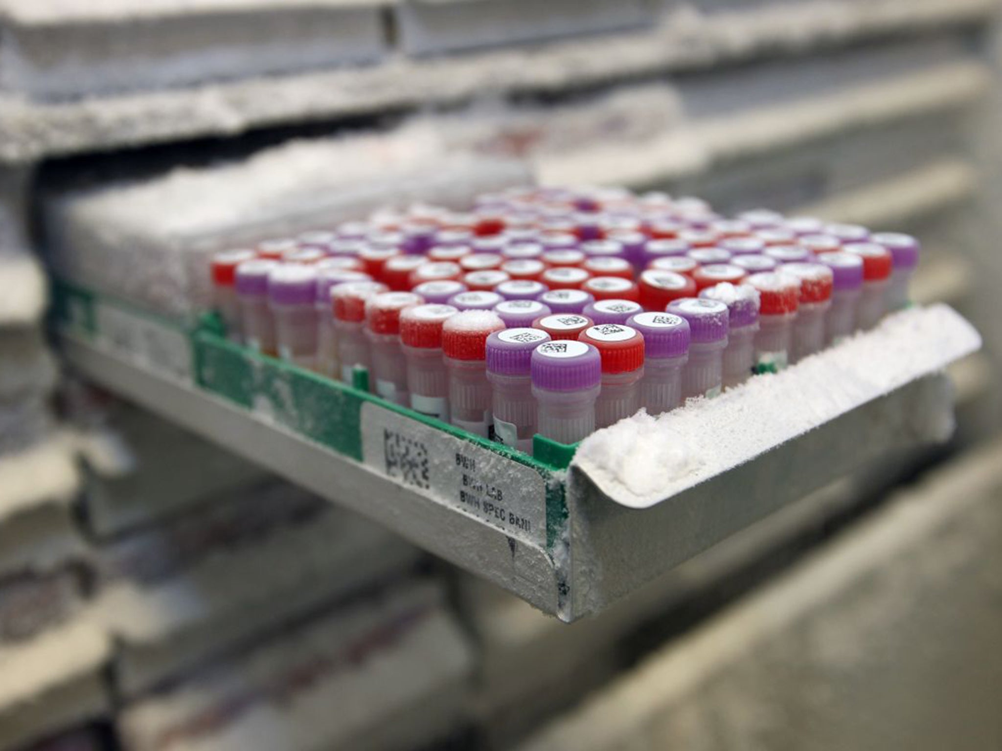 The first 75,000 patients to have their genomes sequenced will be patients and family members with rare genetic disorders or cancer (Rex)