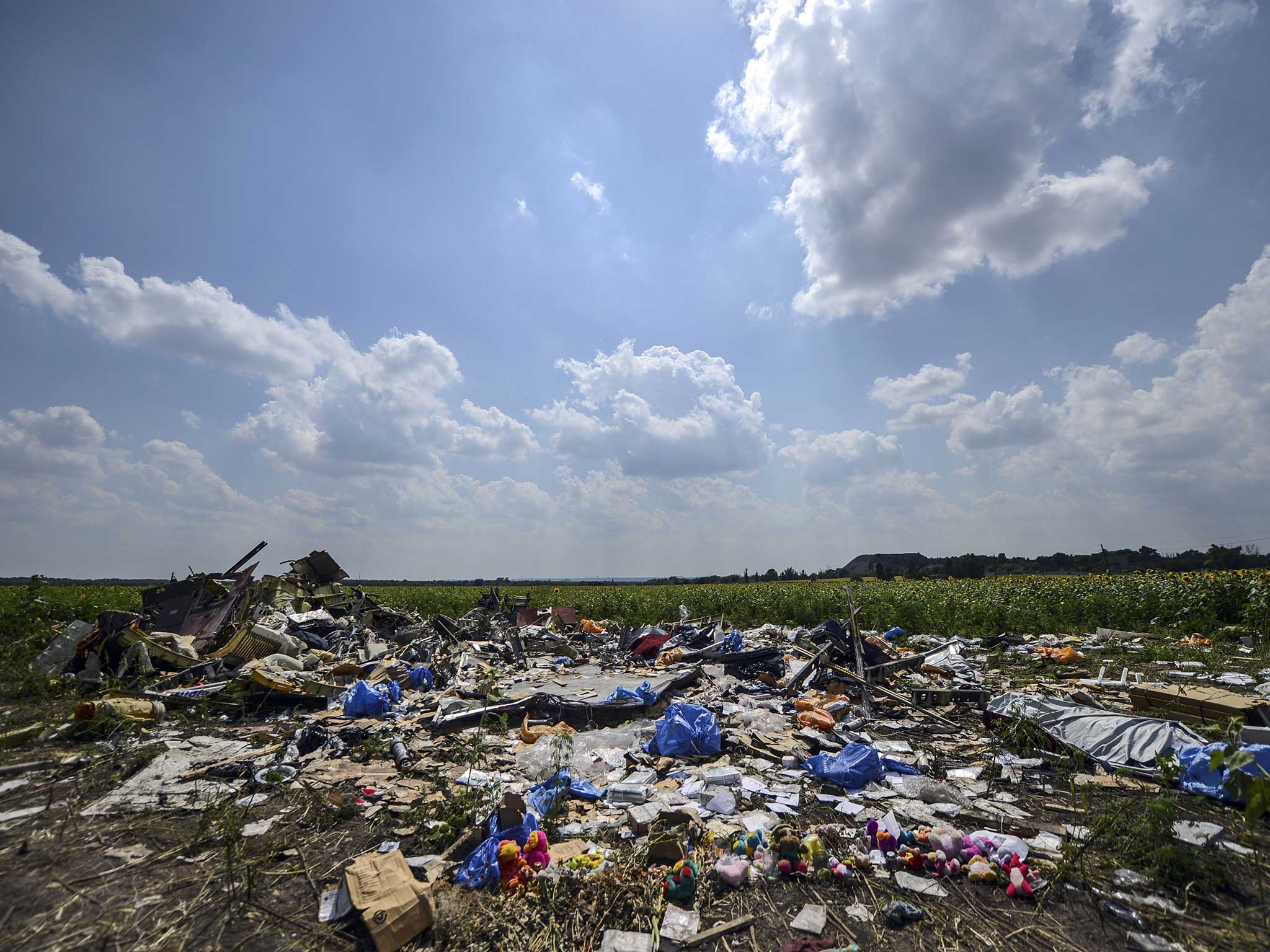 A photo taken on July 23, 2014 shows the crash site of the downed Malaysia Airlines flight MH17, in a field near the village of Grabove, in the Donetsk region.