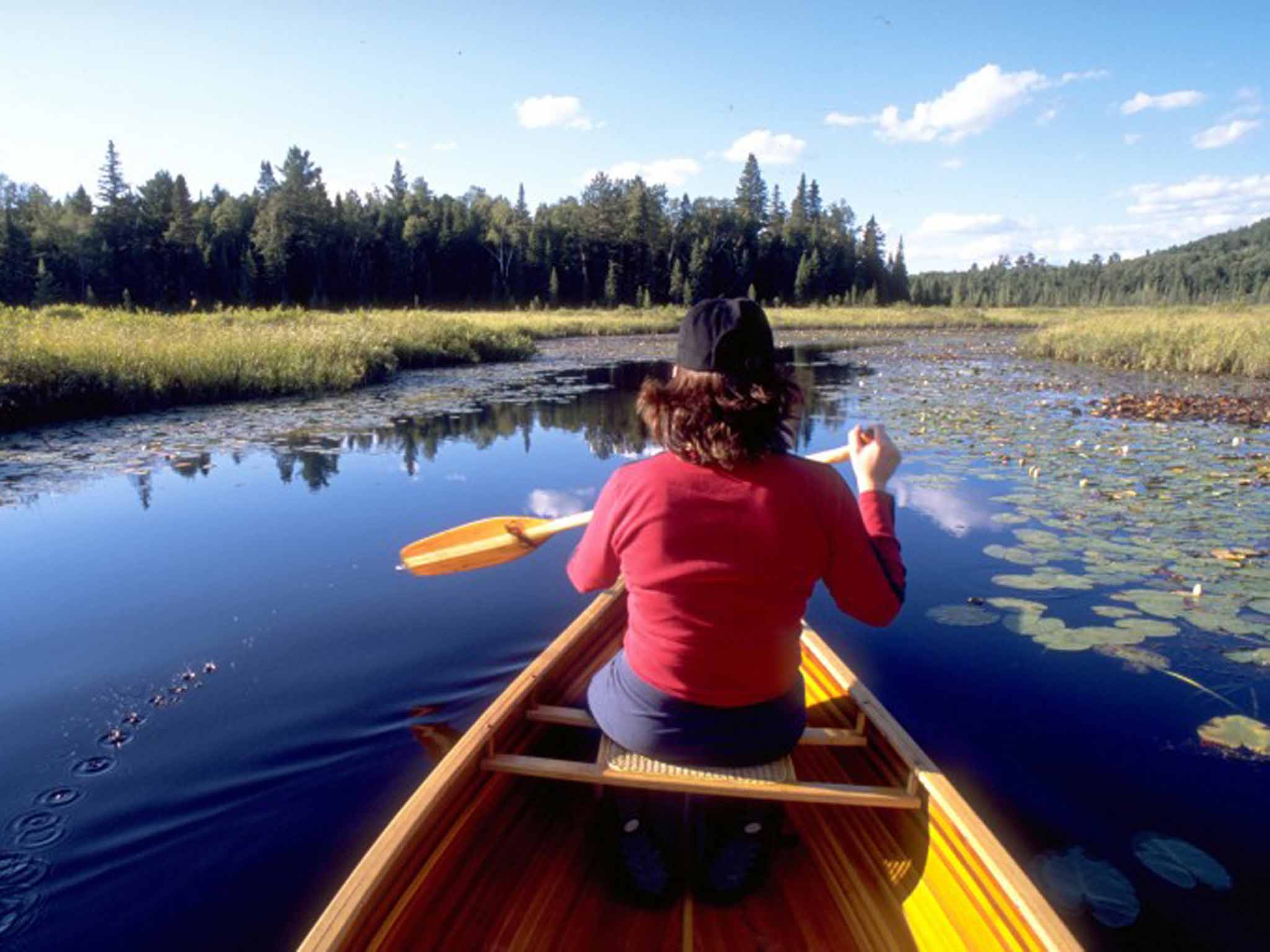 Canoeing in Algonquin