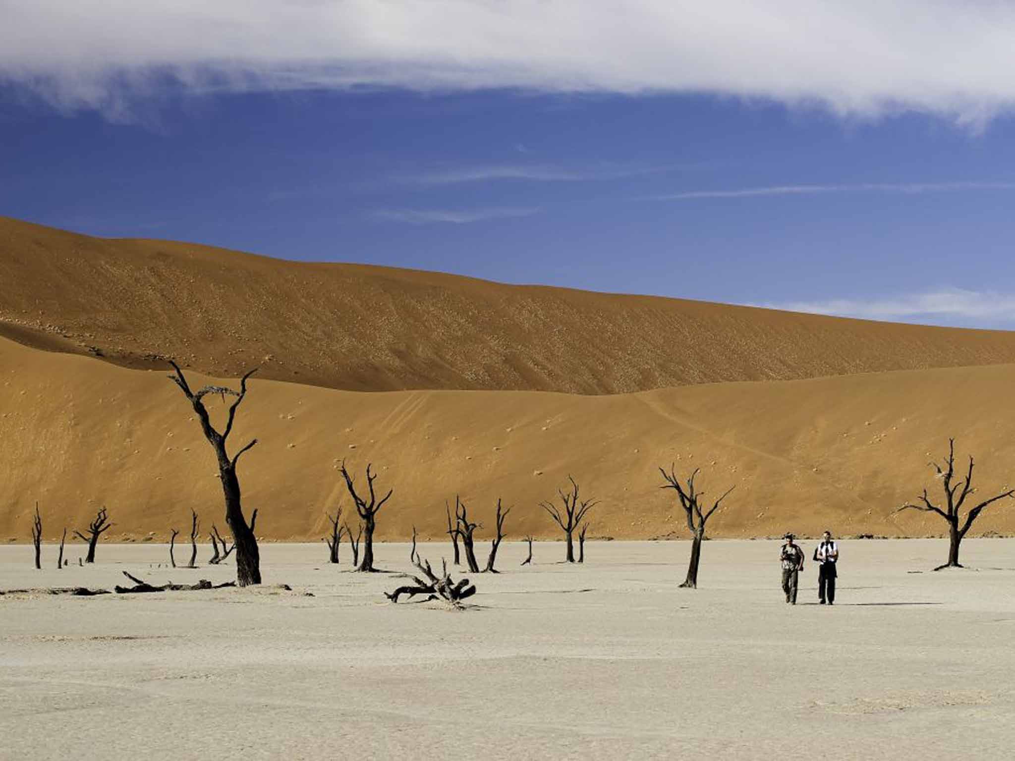 Namib Desert