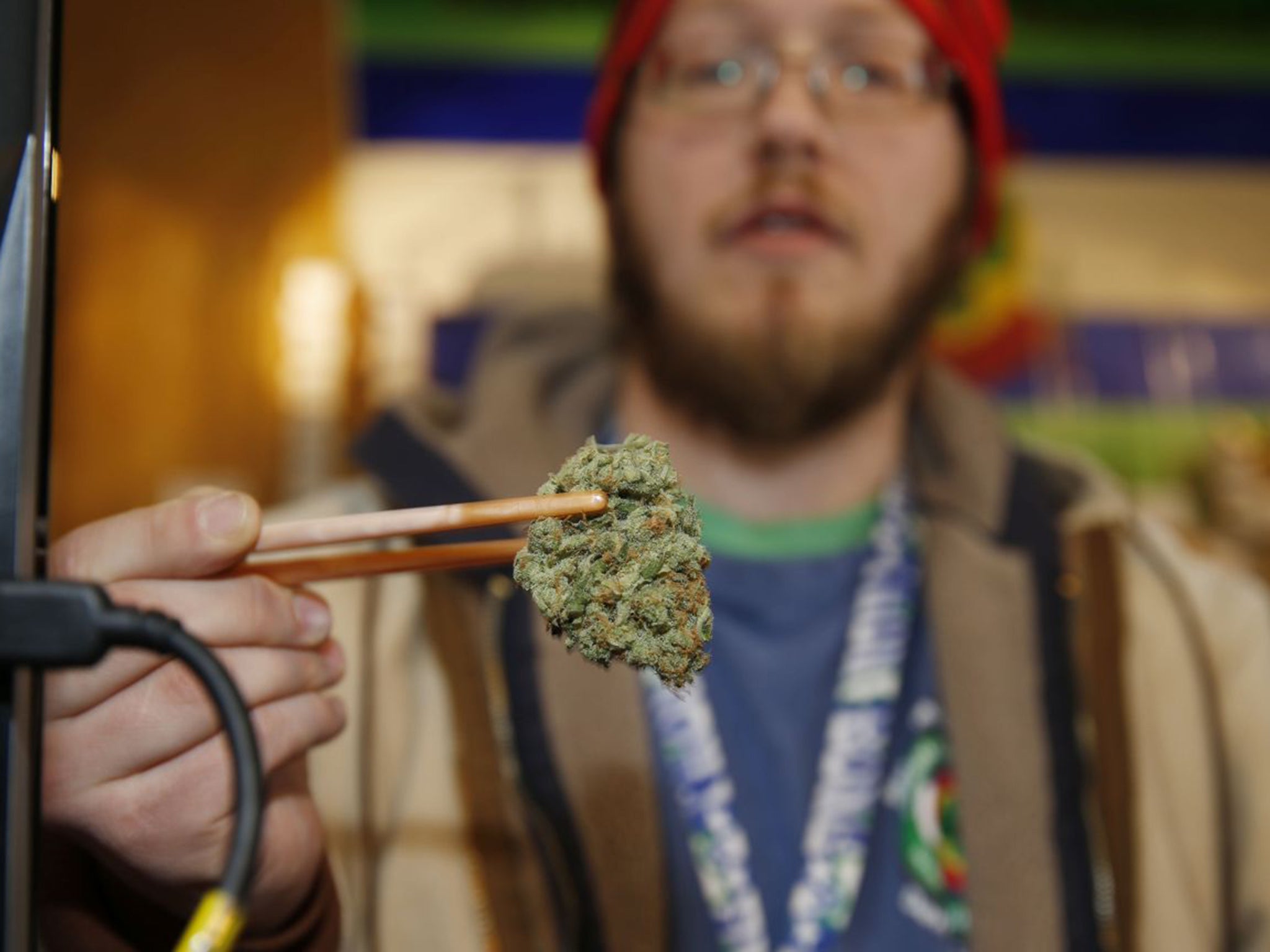 A shop assistant holds a bud of Lemon Skunk in Colorado, where the tax on legal cannabis has added $60m to state coffers (AP)