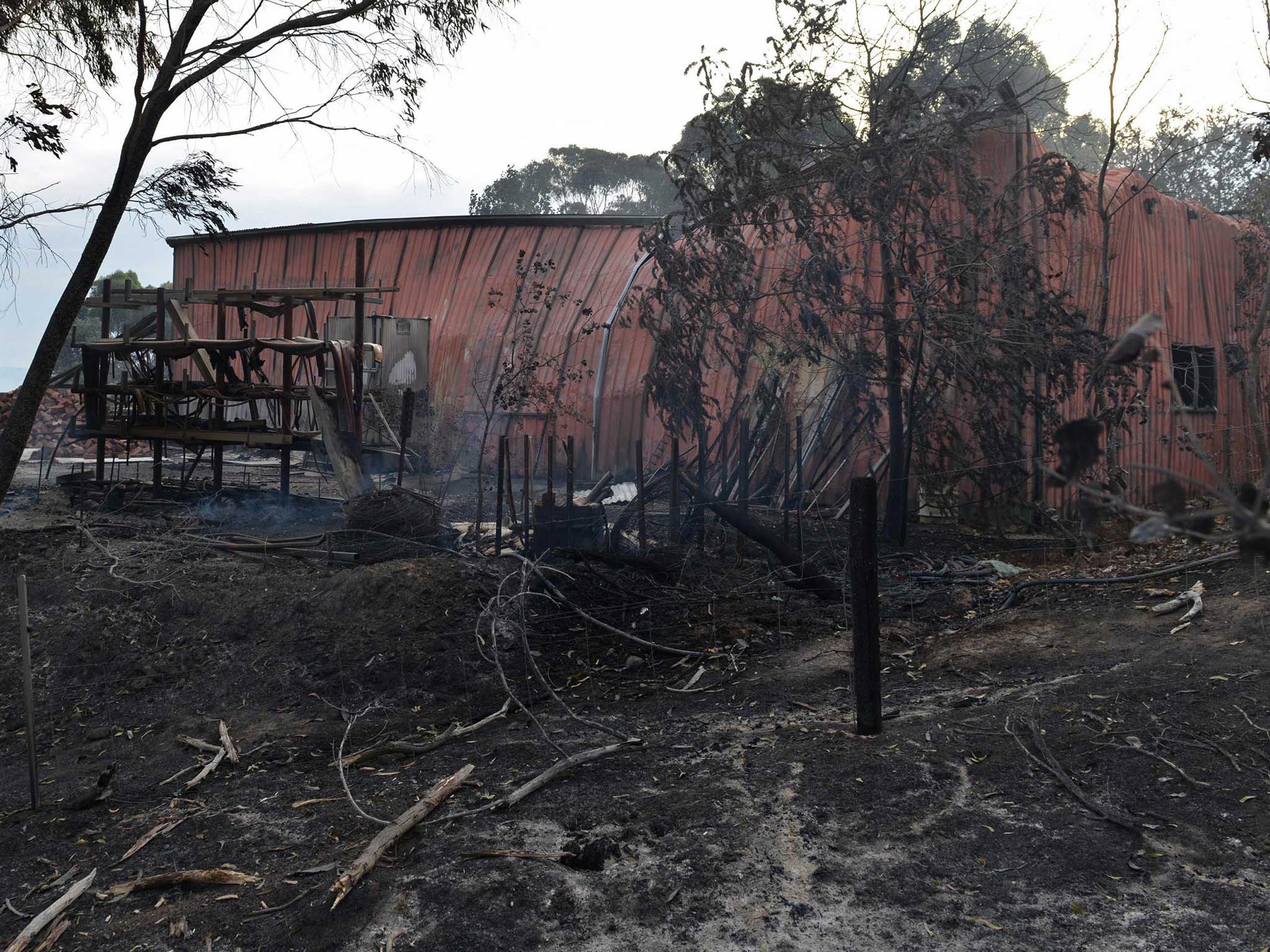 The full damage from the bushfire is not yet known