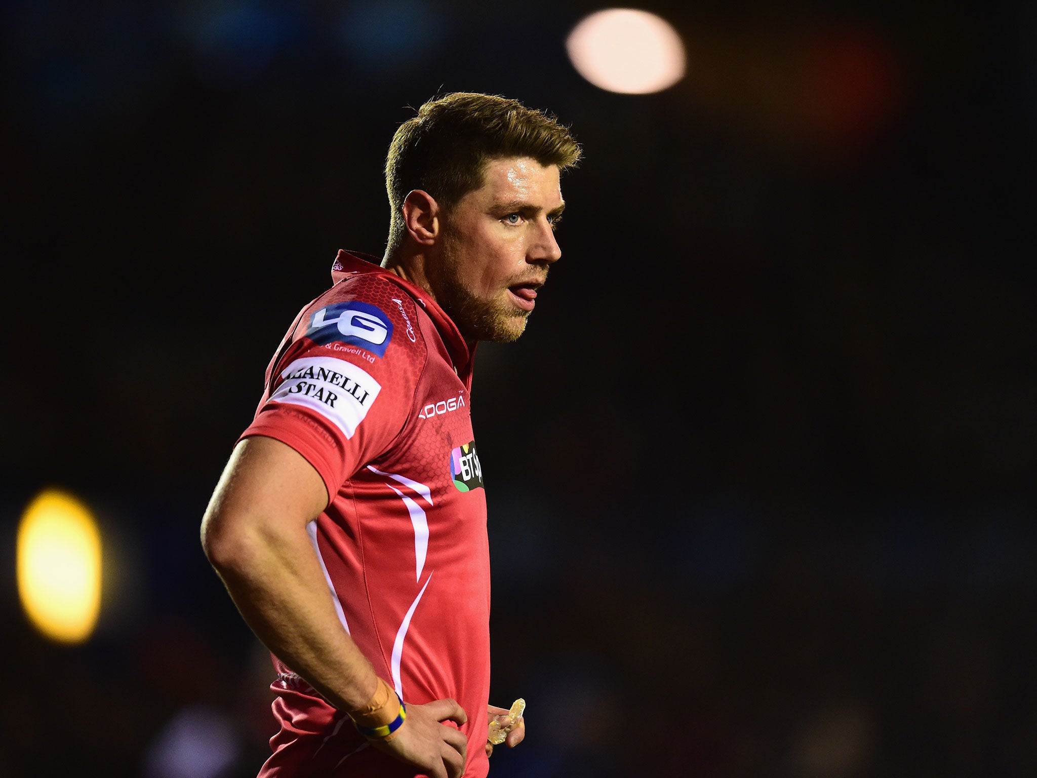 Scarlets player Rhys Priestland