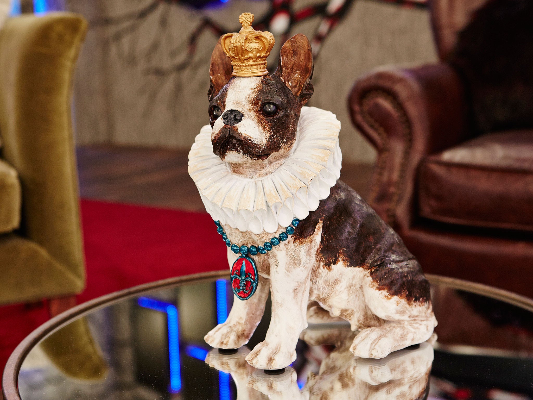 Celebrity Big Brother 2015 housemates have a pet dog awaiting them