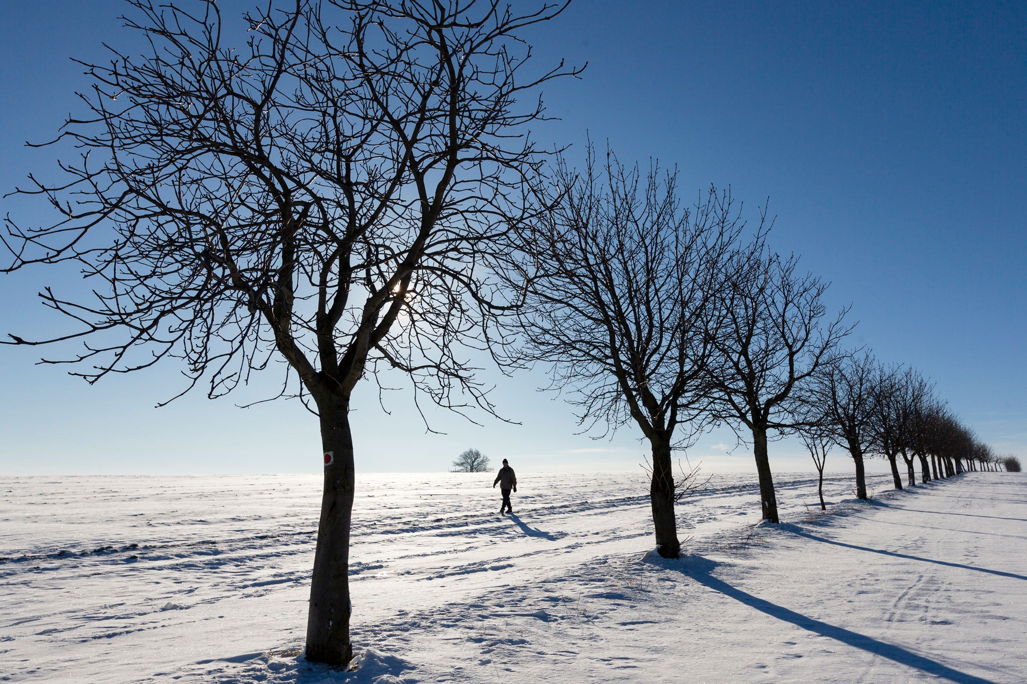 Musical guide to a cold season: a winter's day