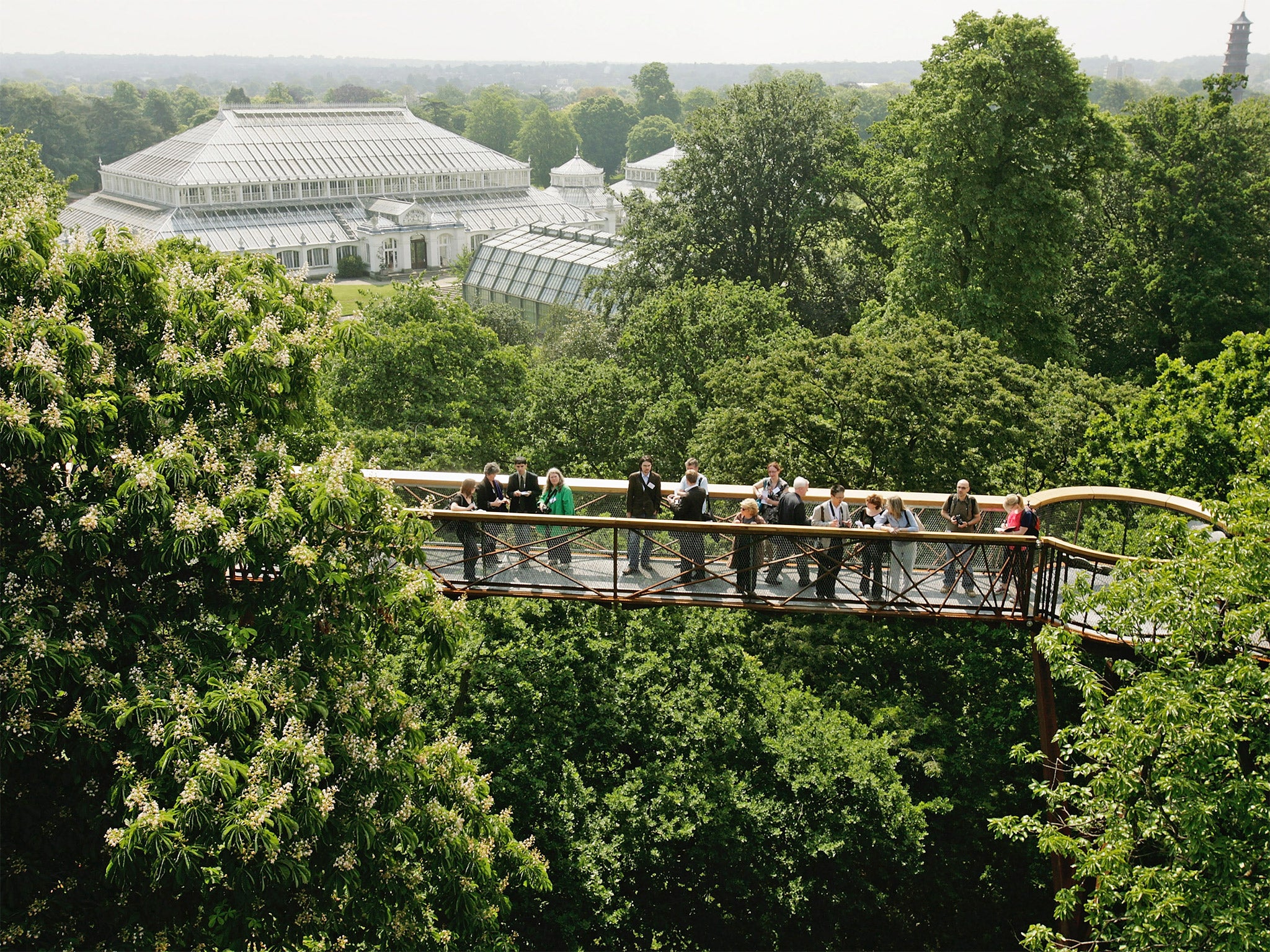 The Treetop Walkway at Kew Gardens (Getty)