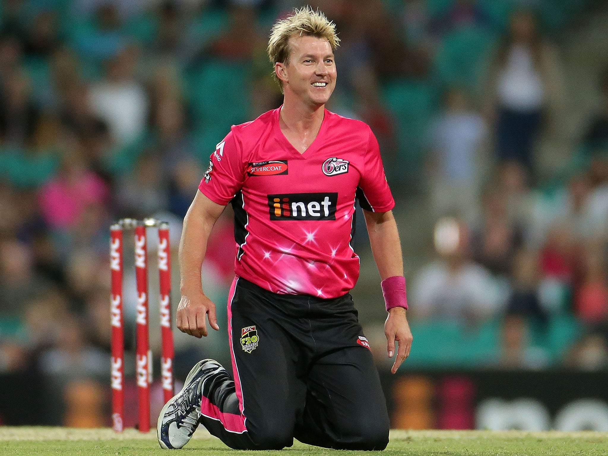 Lee will see out the Big Bash campaign with the Sydney Sixers