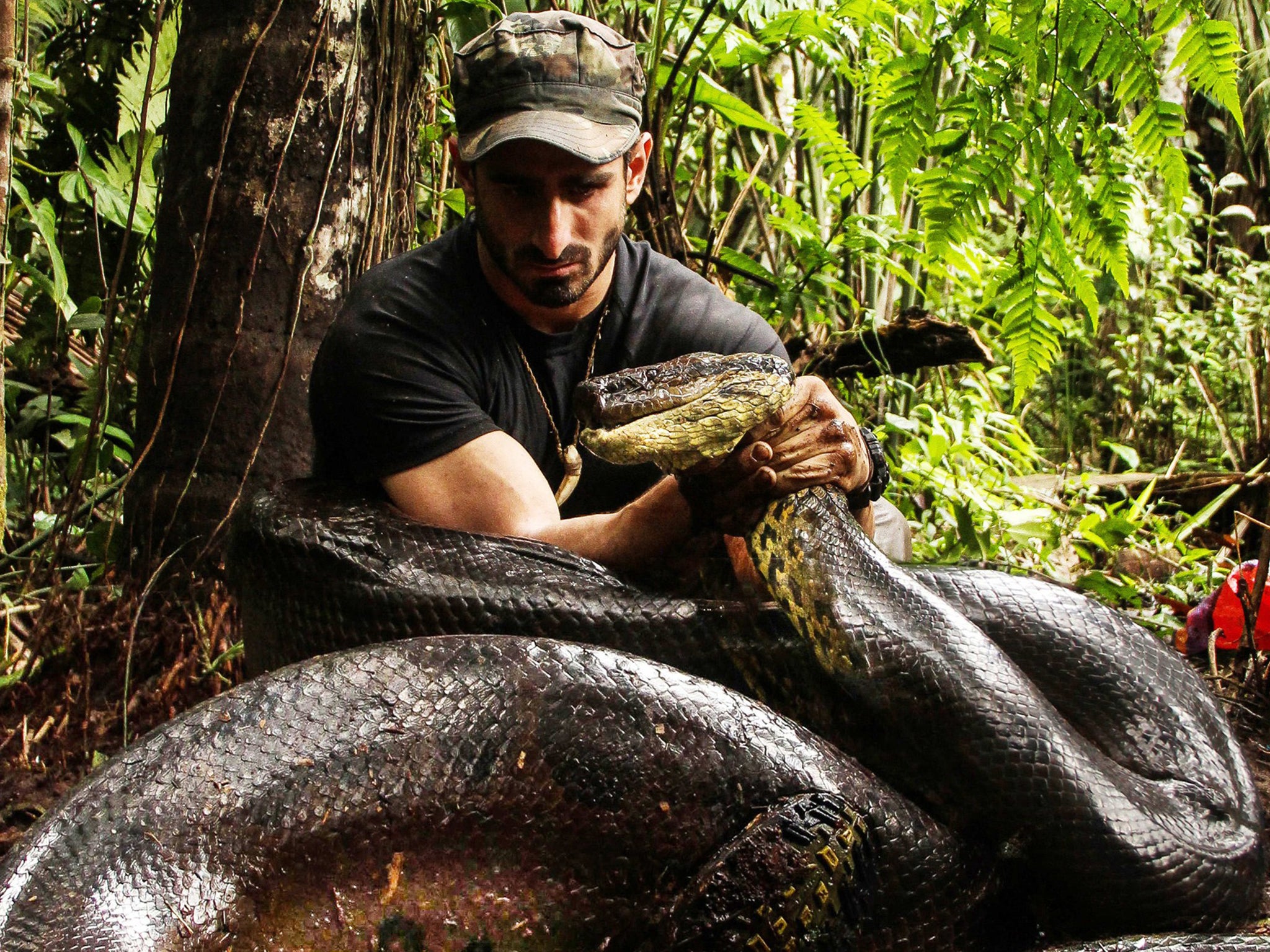 Paul Rosolie in 'Eaten Alive'