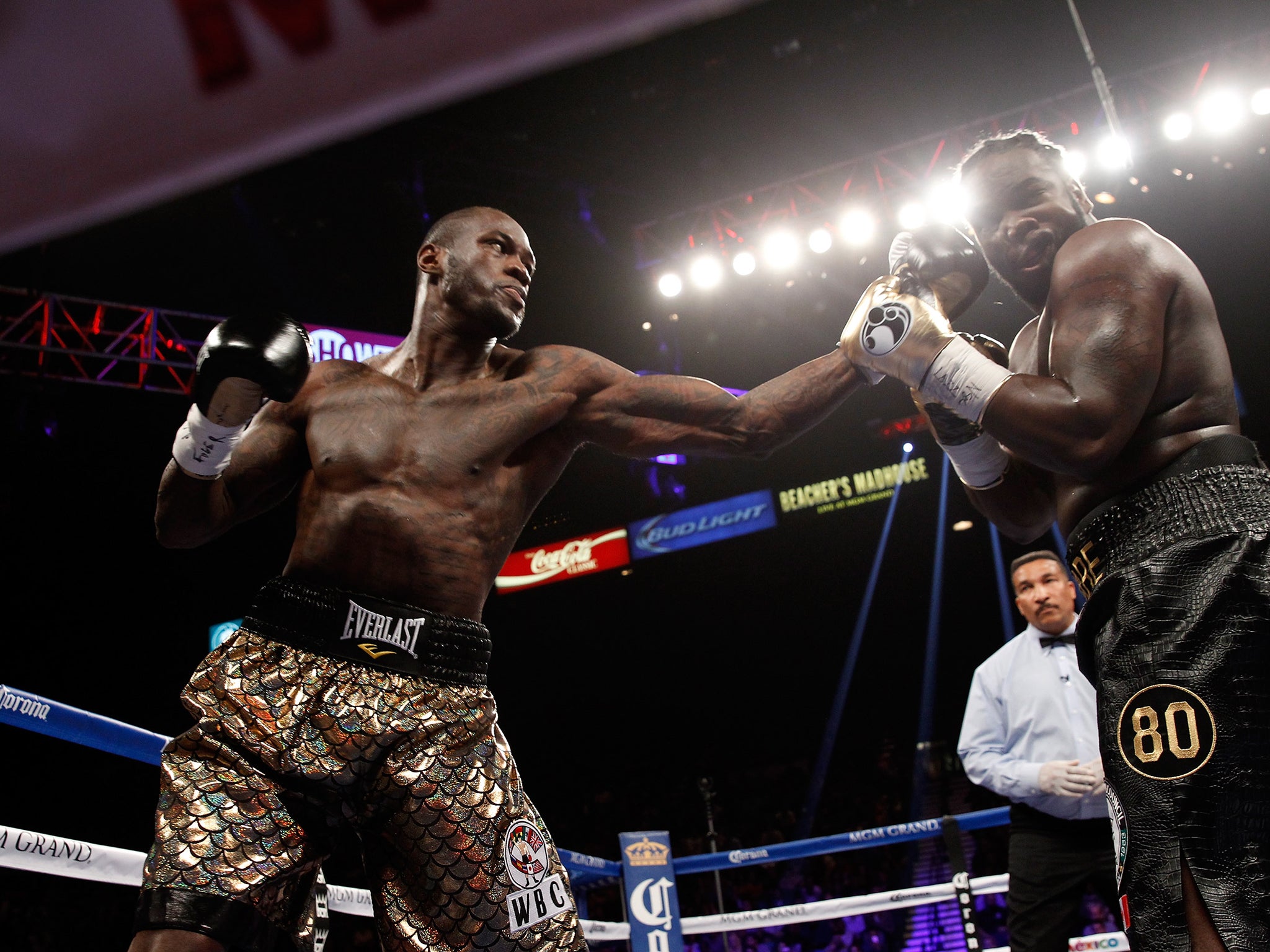 Deontay Wilder (L) connects on WBC heavyweight champion Bermane Stiverne