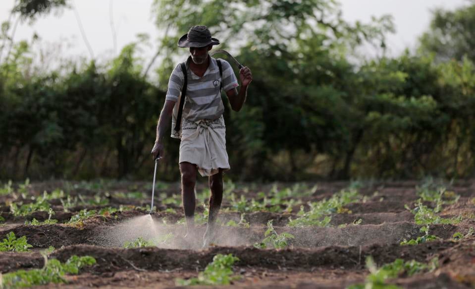 Agrochemicals are often blamed for the mystery disease