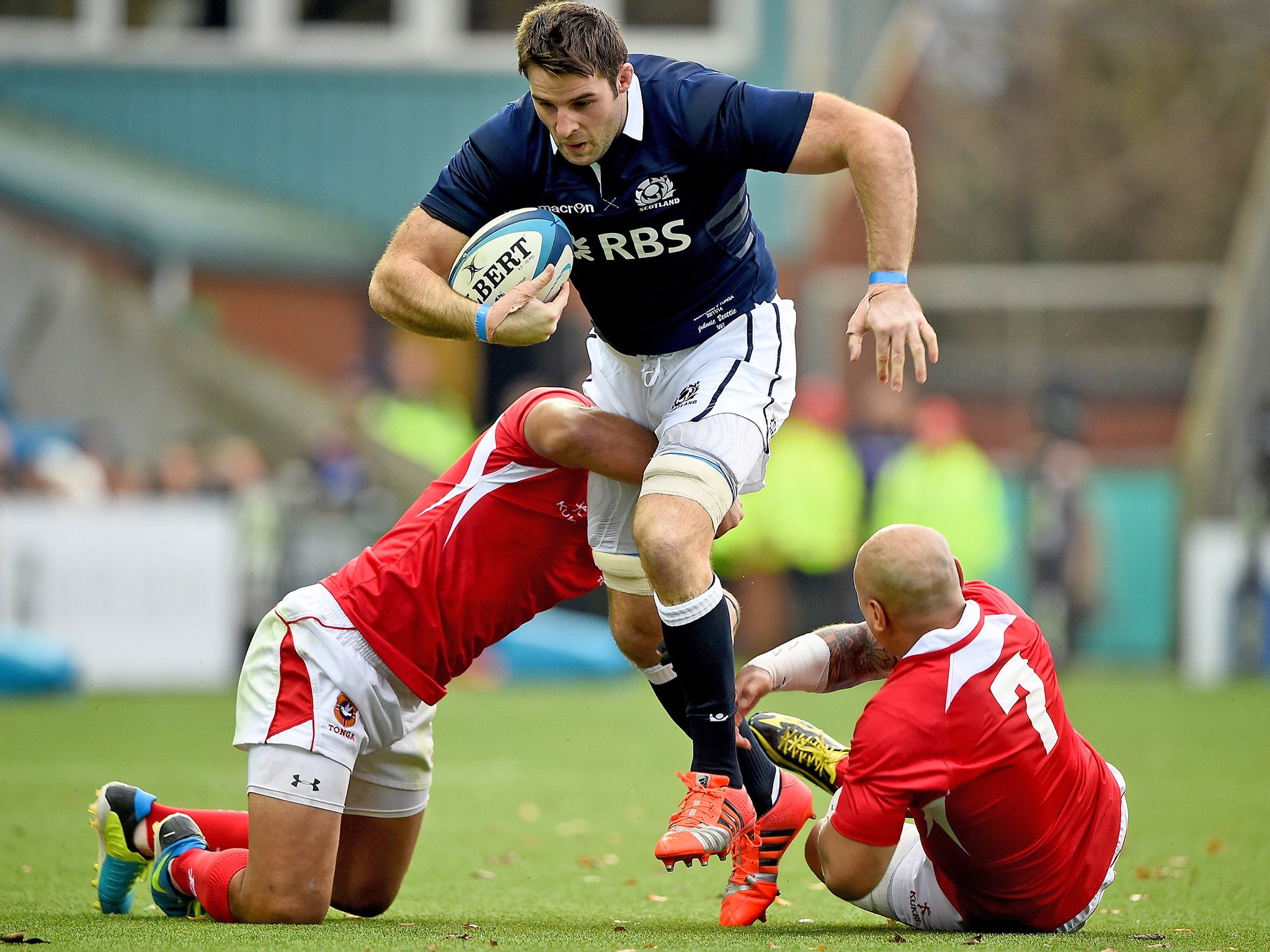 Johnnie Beattie in action against Tonga last November