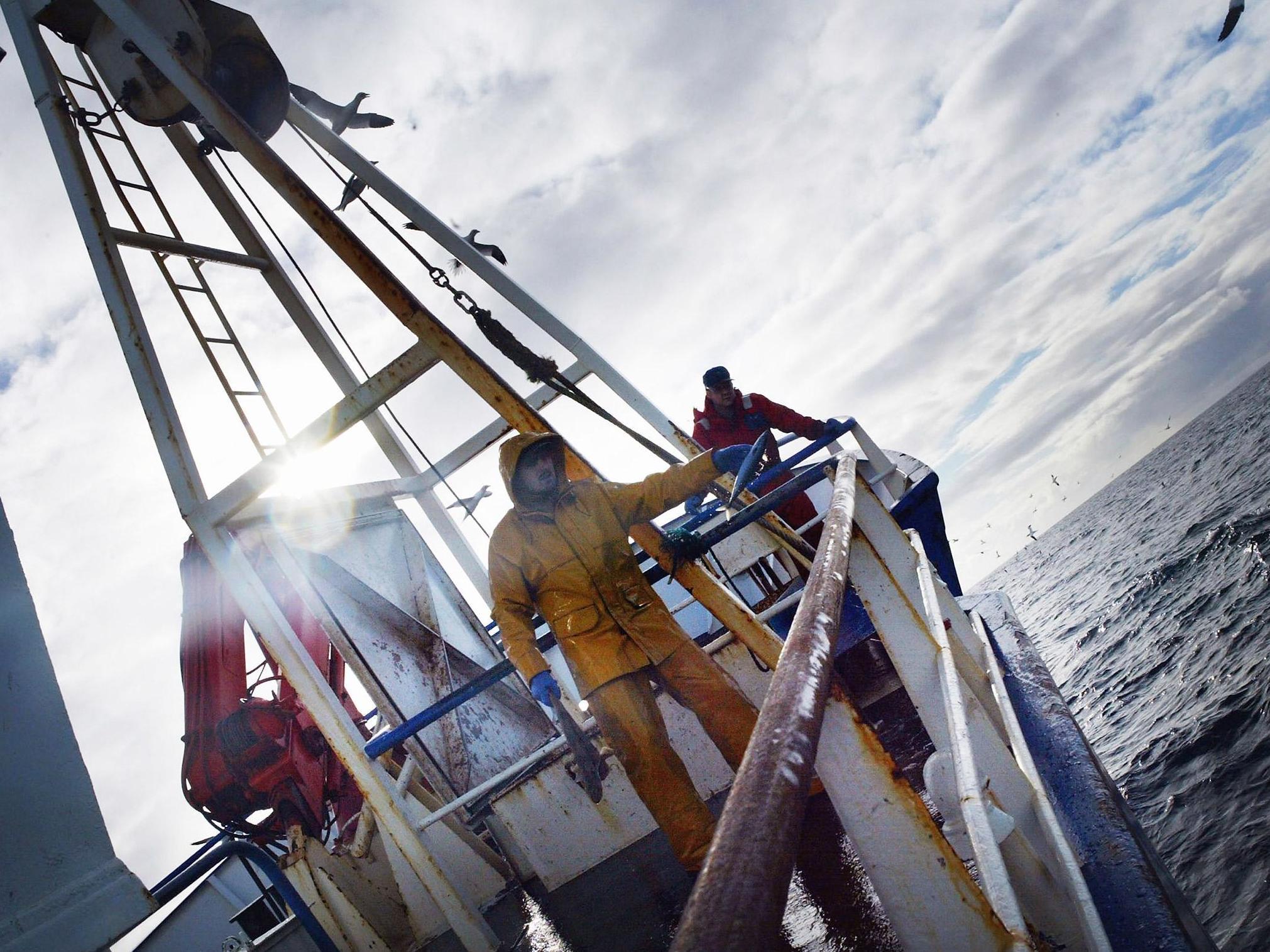 Campaigners warn bottom trawling is damaging the seabed