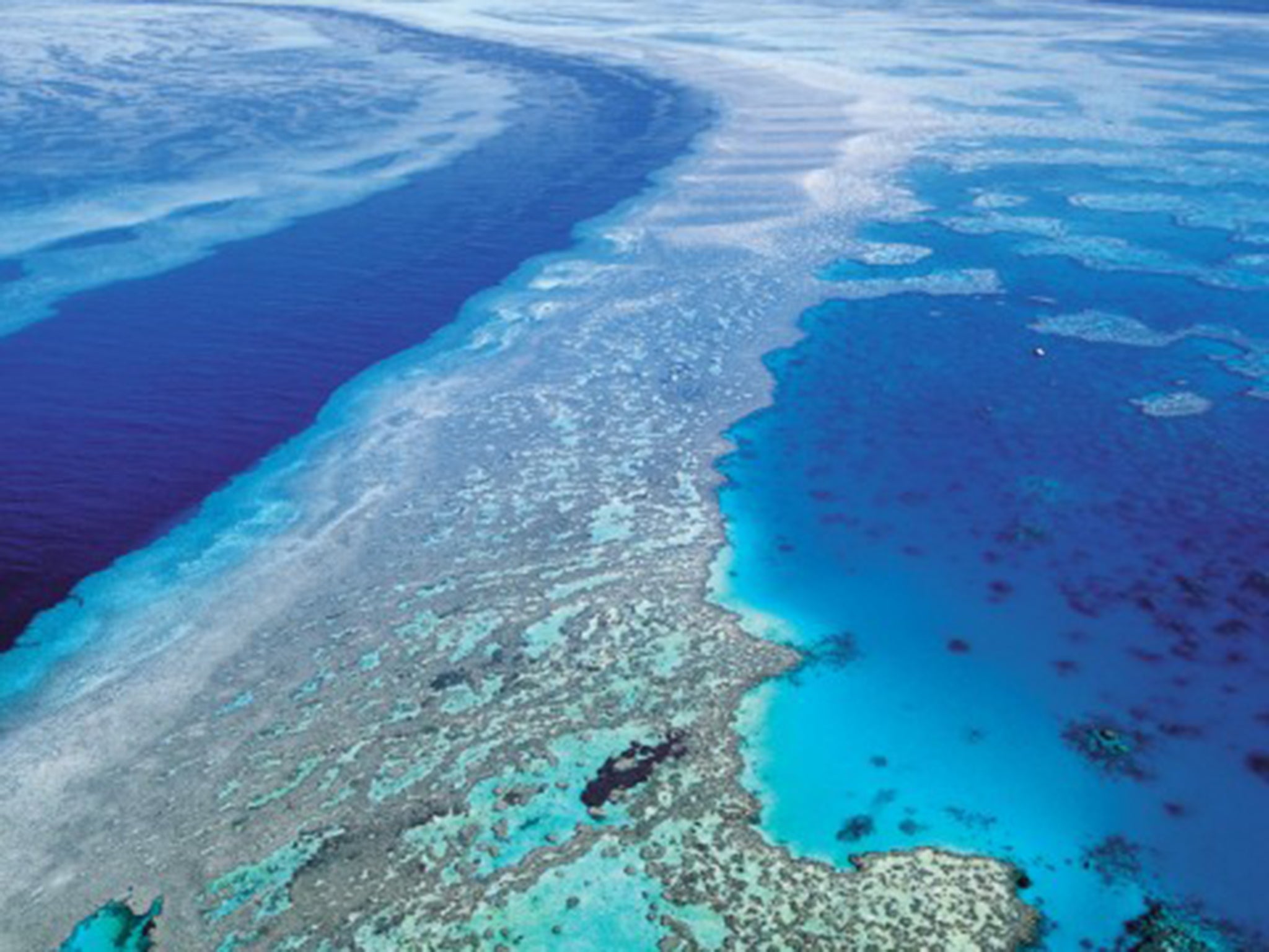 The Great Barrier Reef was about to be put on a UN danger list (AP)