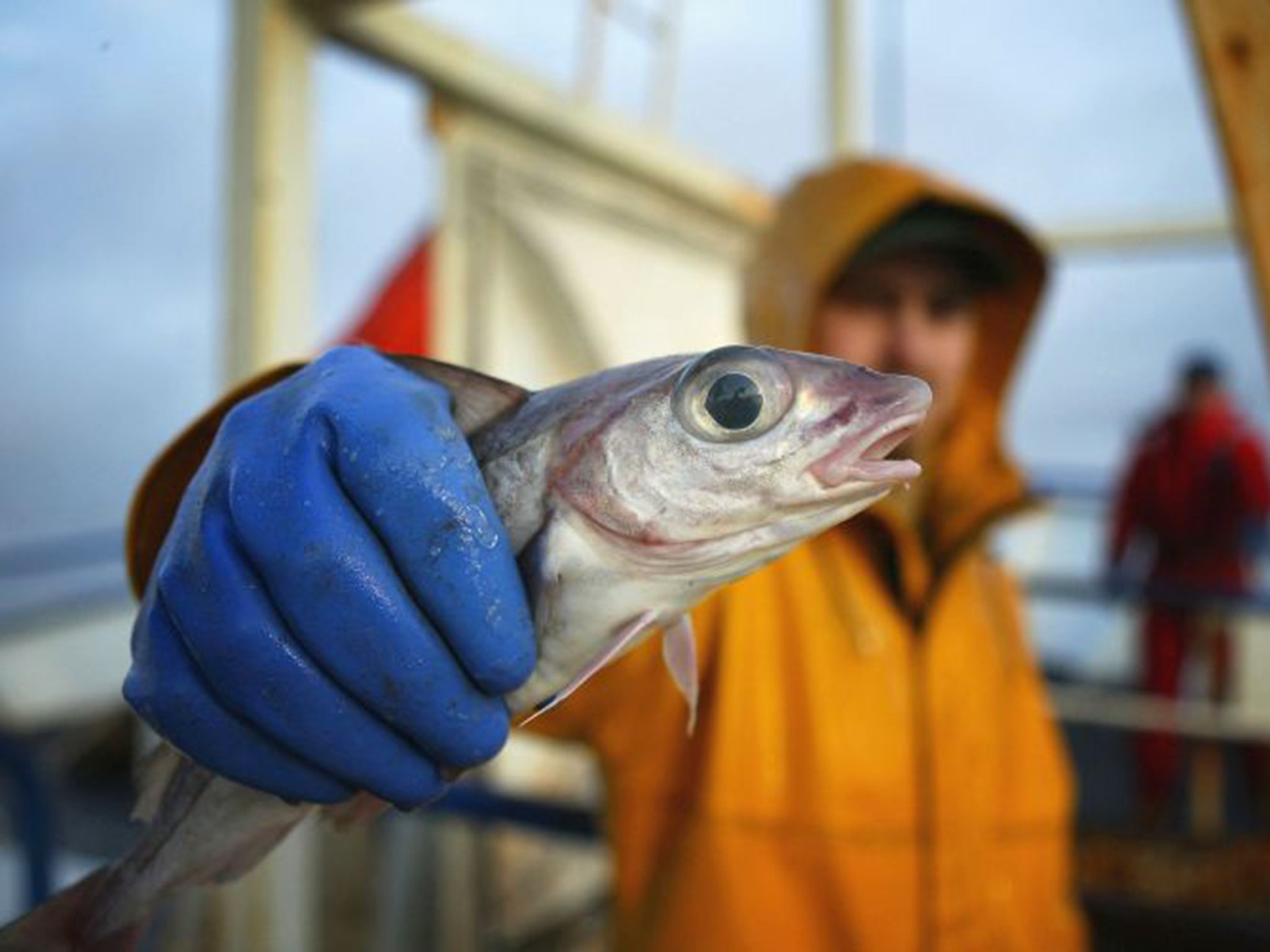 Fishermen operating vessels less than 10 metres long are only allocated 4 per cent of the UK’s fishing quota (Getty)