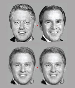 The illusion, from "Mechanisms of Face Perception"