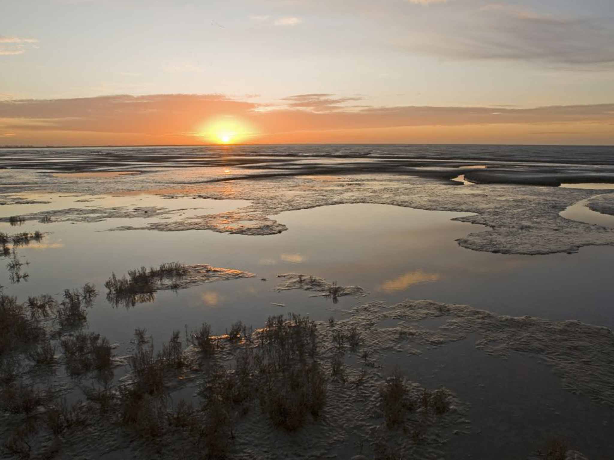 Snettisham reserve in Norfolk