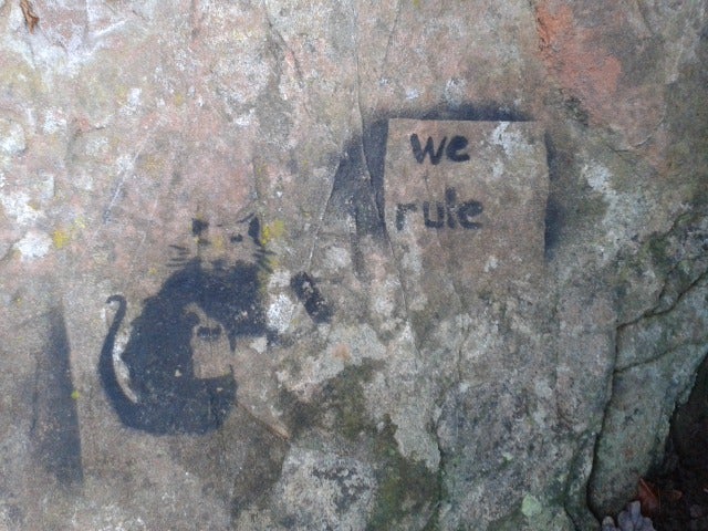 Fake Banksy stencils on Lacy Caves