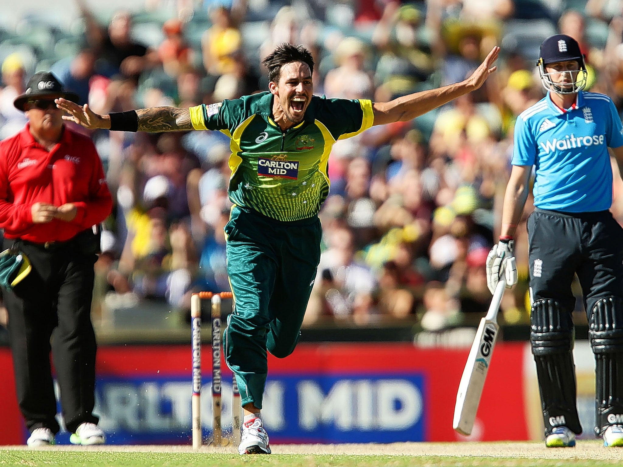 Mitchell Johnson celebrates after taking the wicket of the England captain, Eoin Morgan, on Sunday