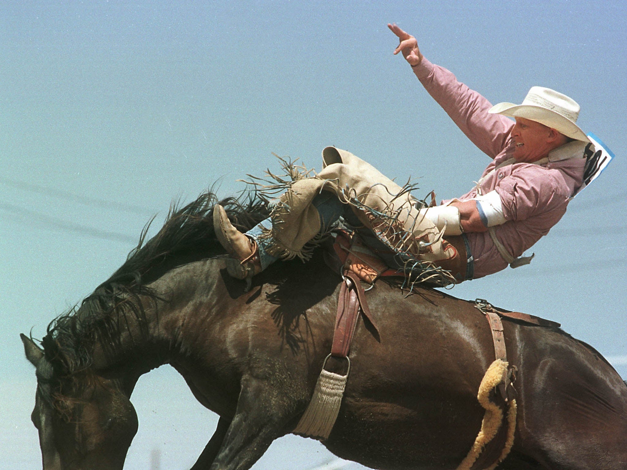 Kurt Radzay hangs on during the Bareback Bronc competition at Cheyenne Frontier Days Rodeo July 26, 2001