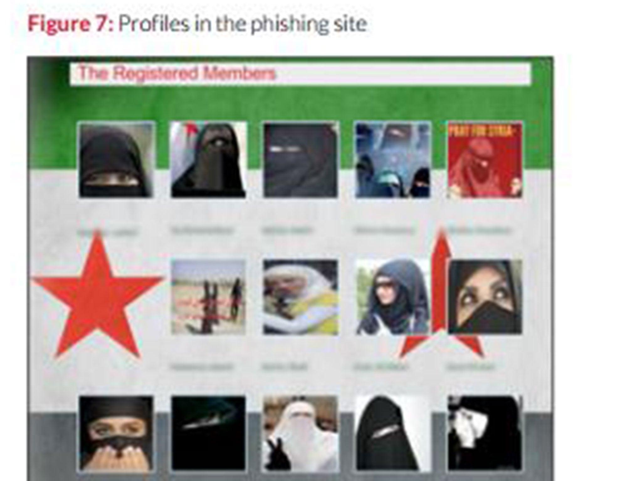 An example of profiles used by hackers