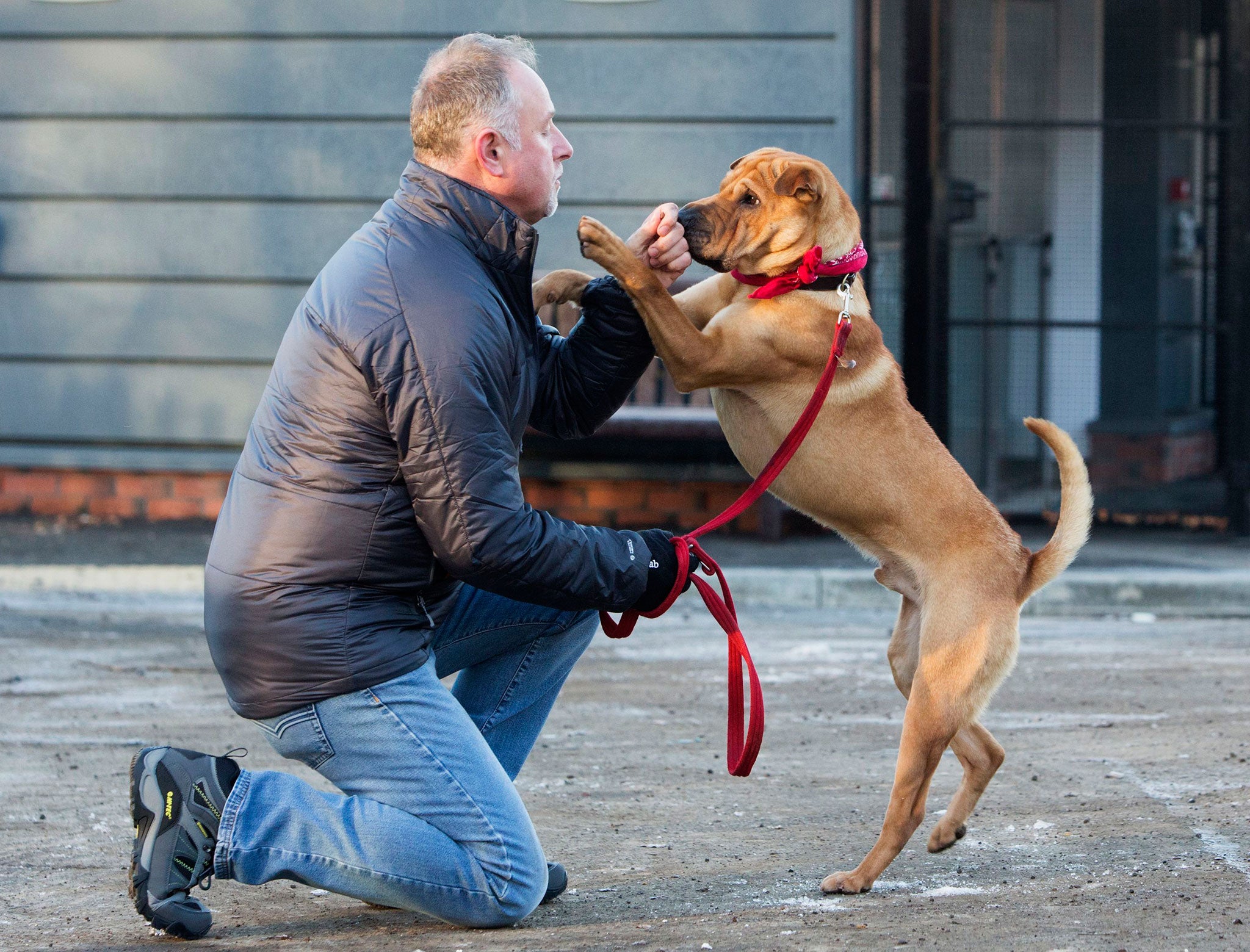 Kai the dog with his new owner Ian Russell at a Scottish SPCA office in Glasgow