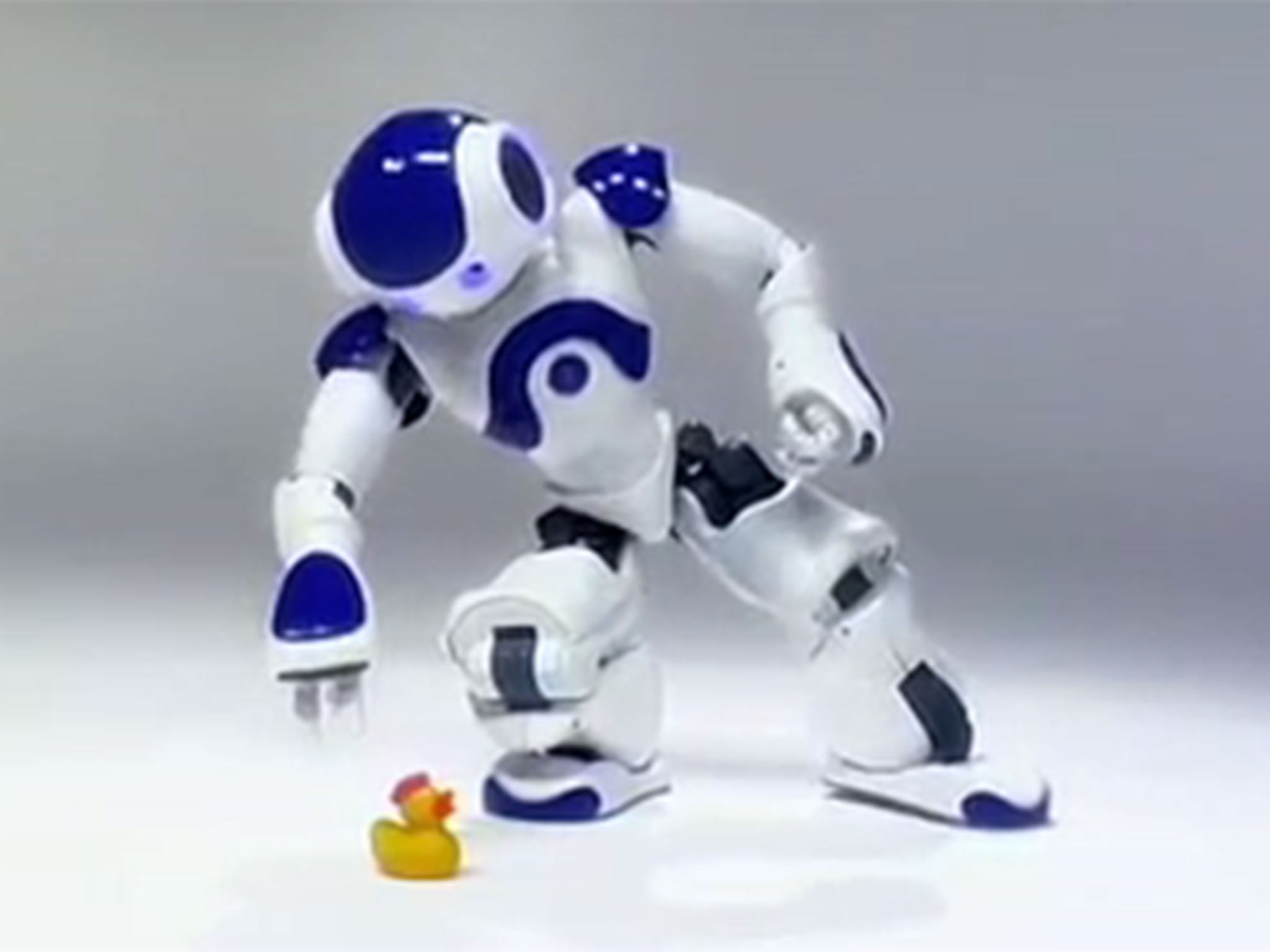 Nao was born in 2006 after years of development