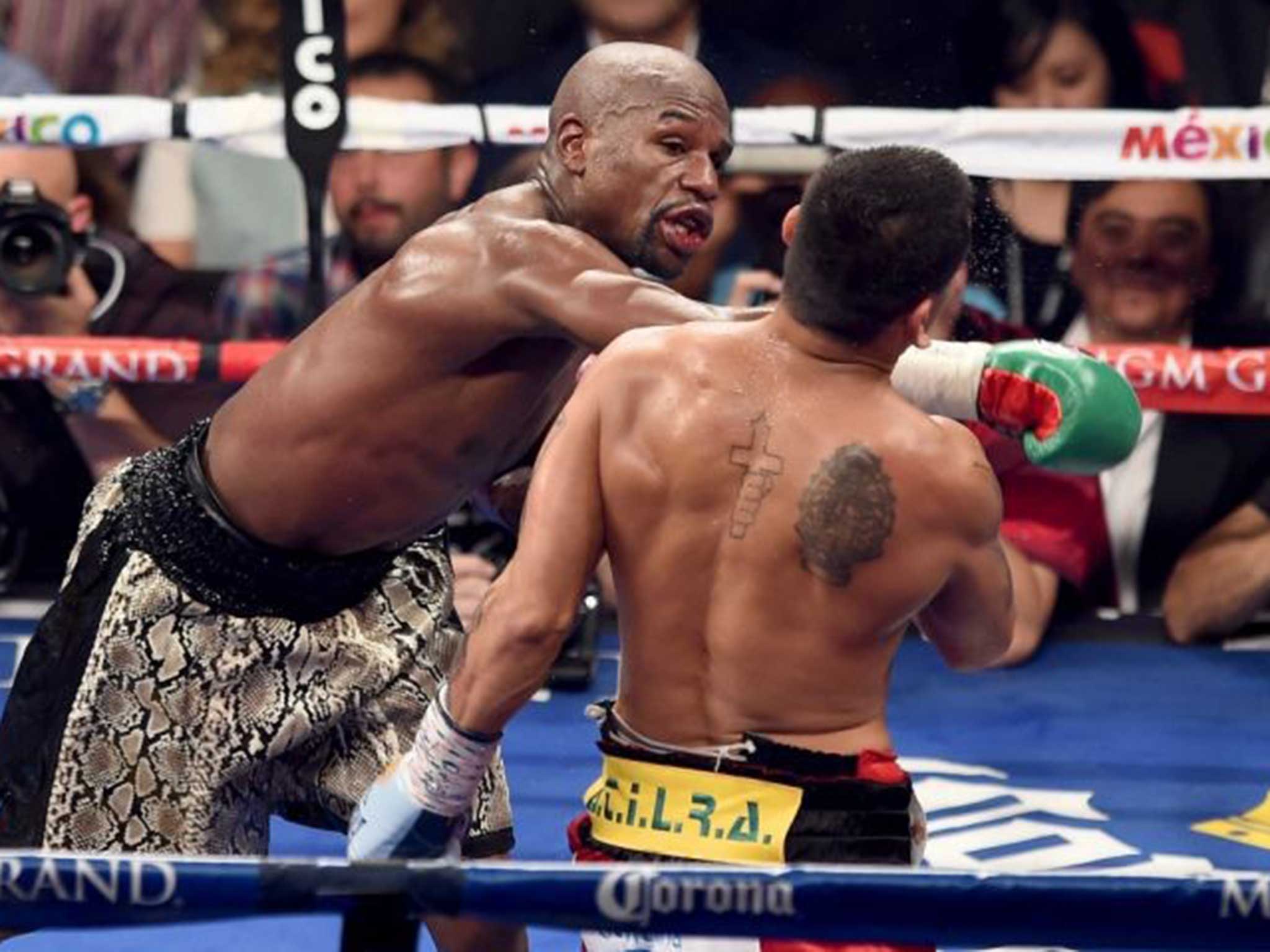 Floyd Mayweather in action