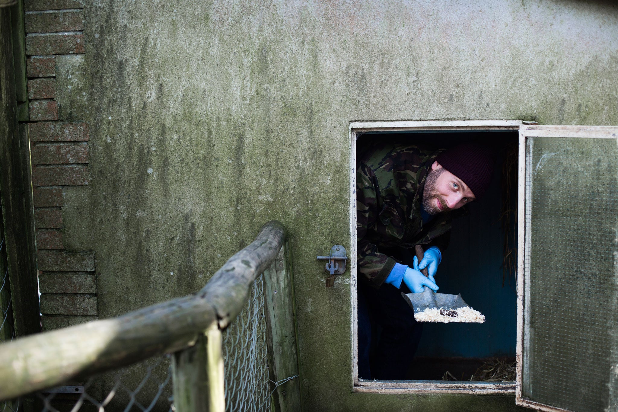 Simon mucks out the coati enclosure