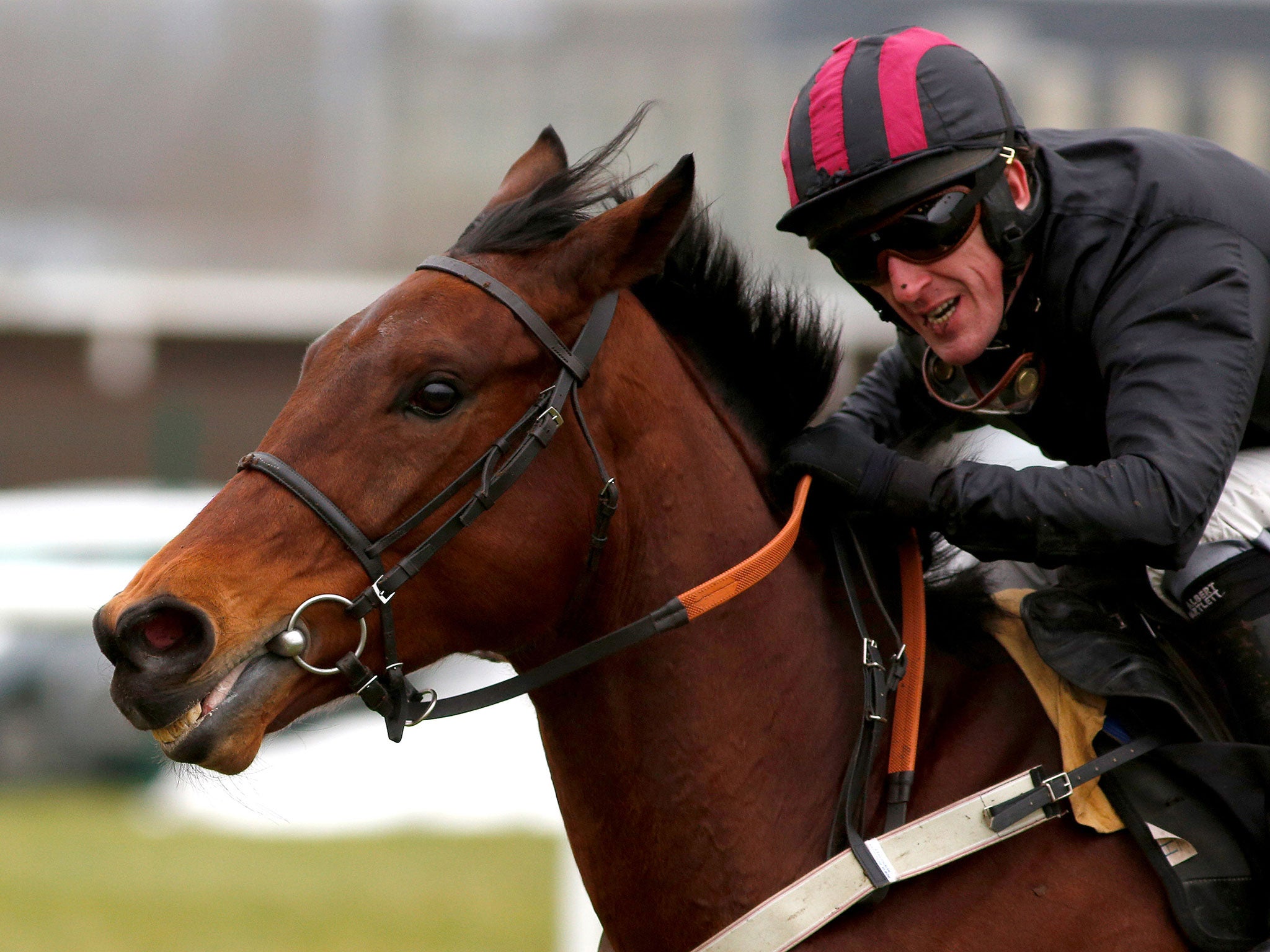 Tony McCoy will retire at the end of the season