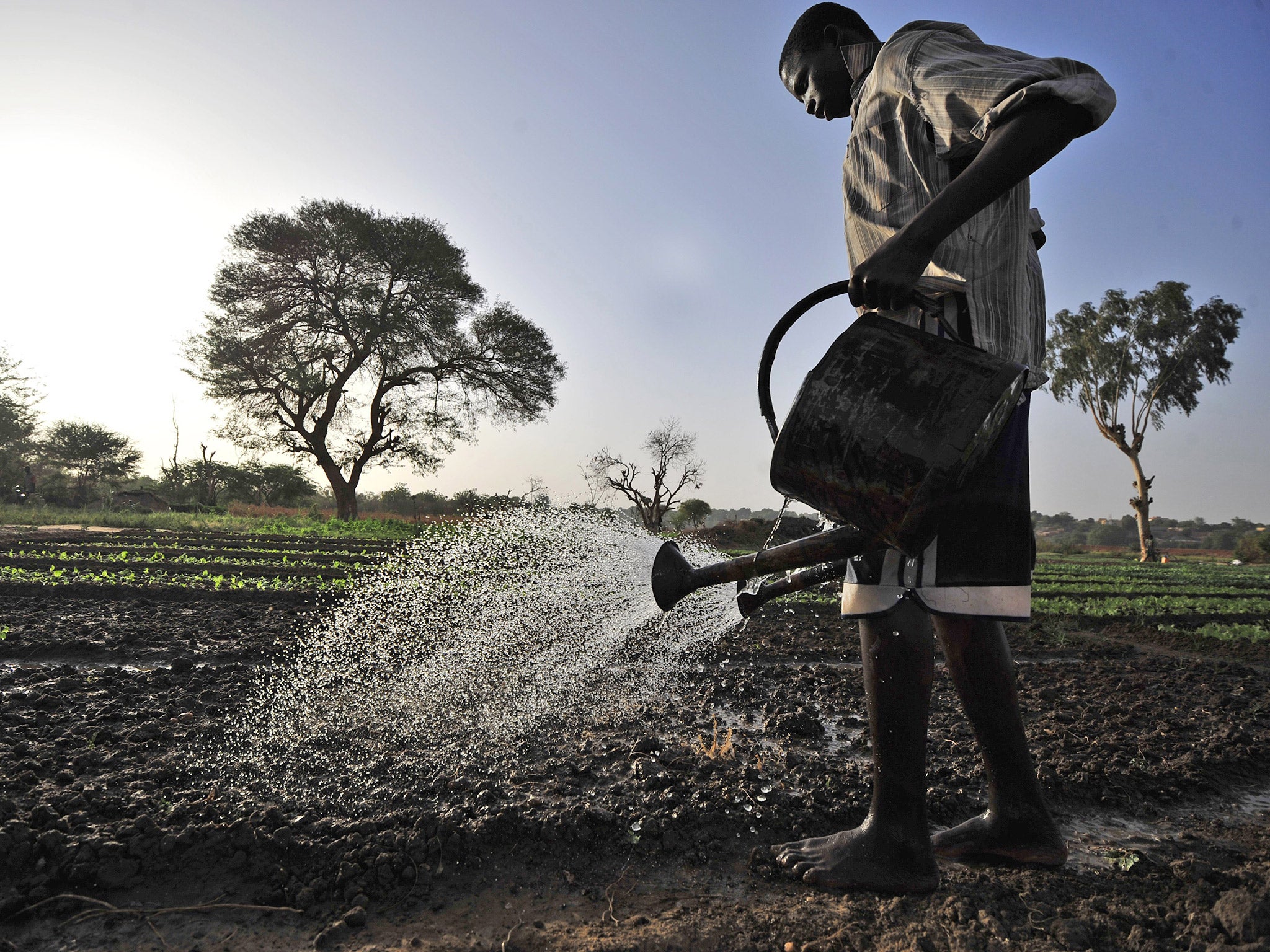 Niger is frequently affected by food crises; it now has a policy with ARC