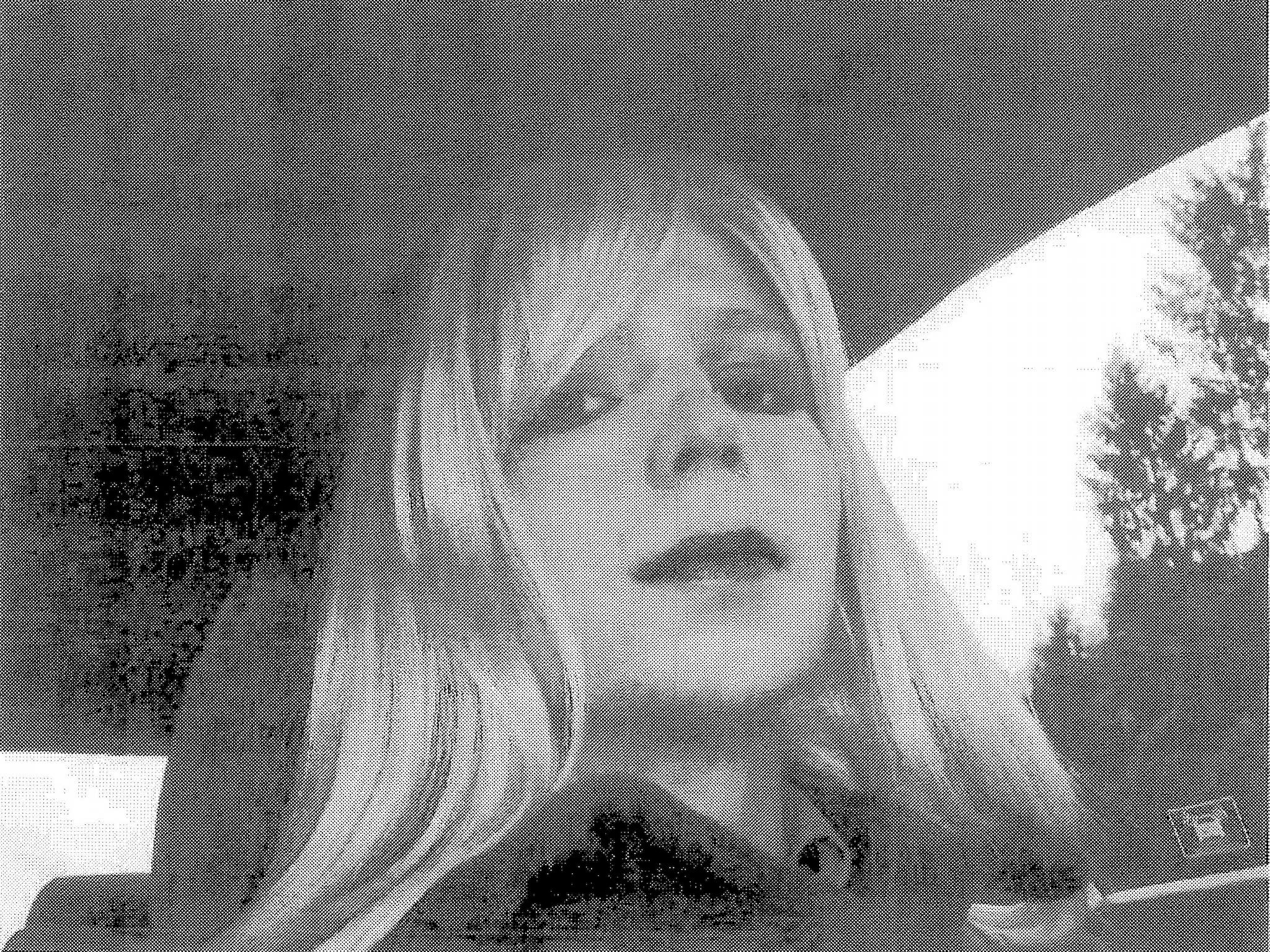 Chelsea Manning, formerly known as Bradley, was sentenced to 35 years in military prison for leaking documents, videos and cables to WikiLeaks