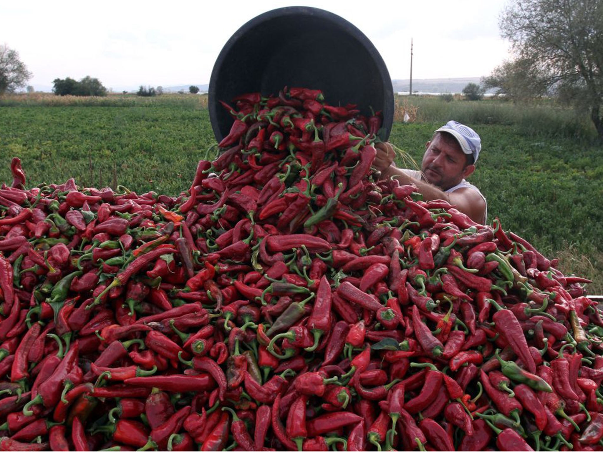 Tests revealed that the paprika in the Discovery Taco Seasoning spice mix contained undeclared almond protein