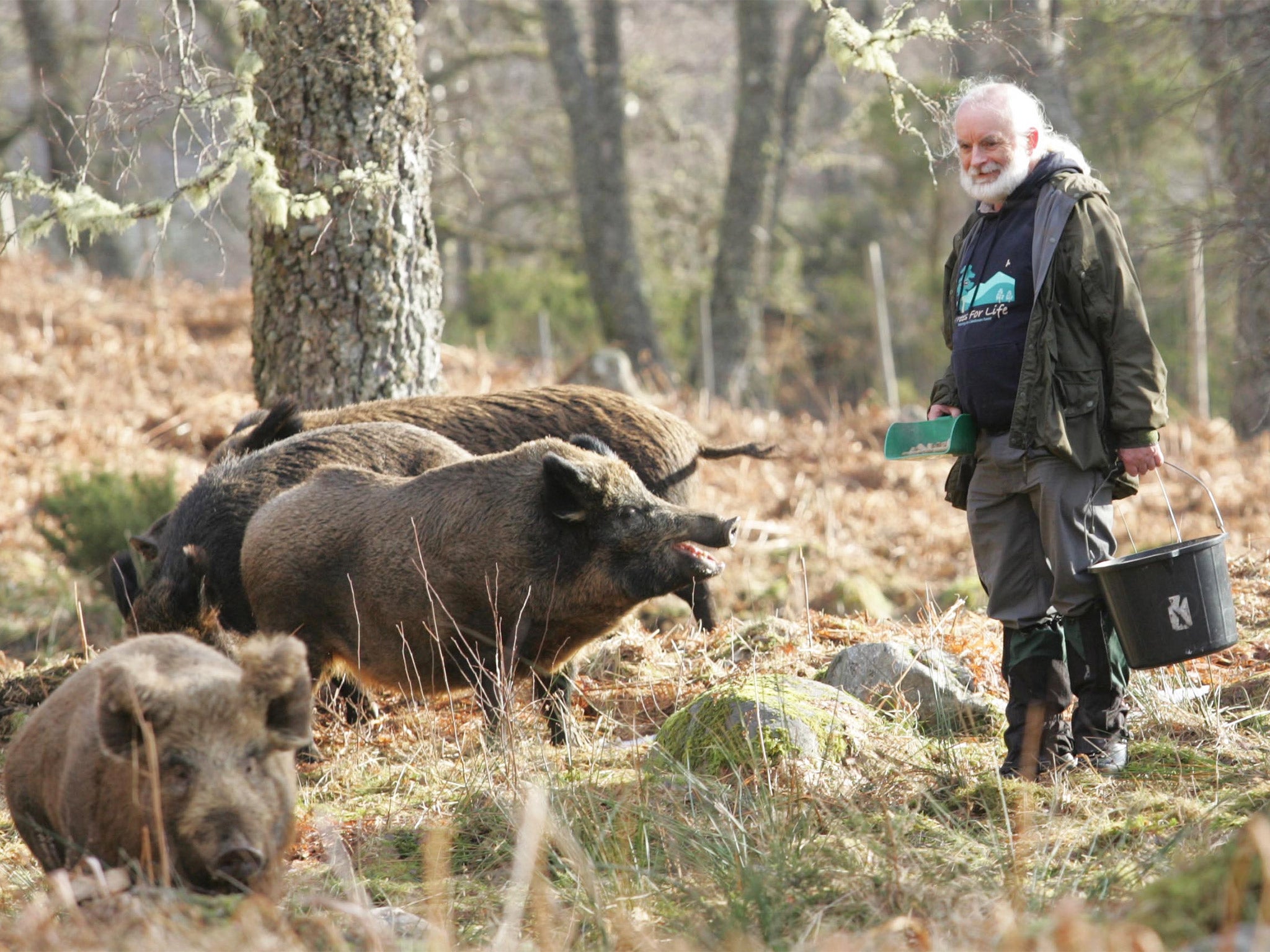 The Dundreggan estate is run by Trees for Life, a charity founded by Alan Watson Featherstone, pictured