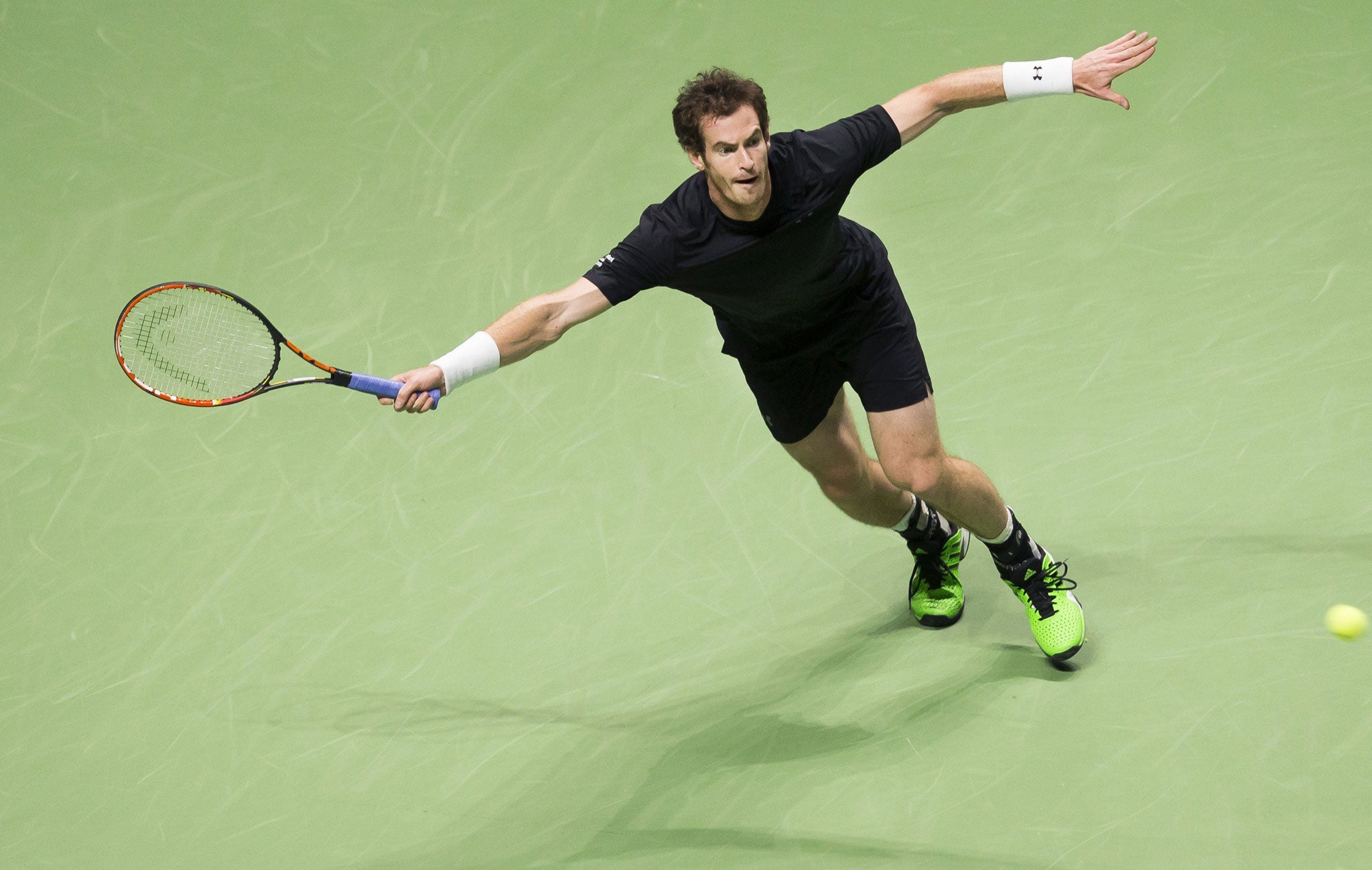 Proactive: Andy Murray in action at the Rotterdam Open (Getty)