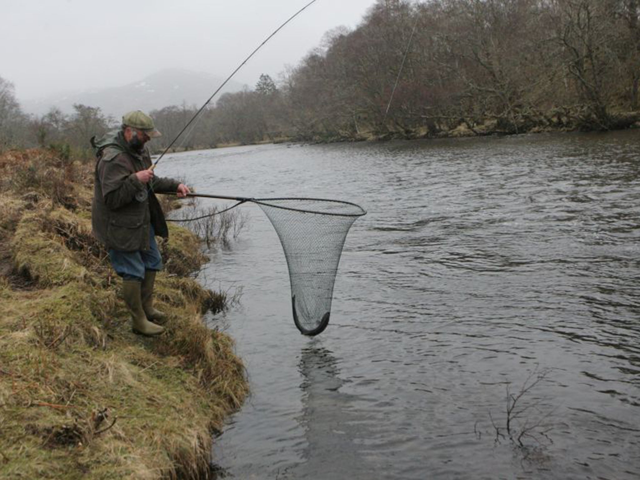 Last year Mr Kindness was able to release 330,000 young fish into the river